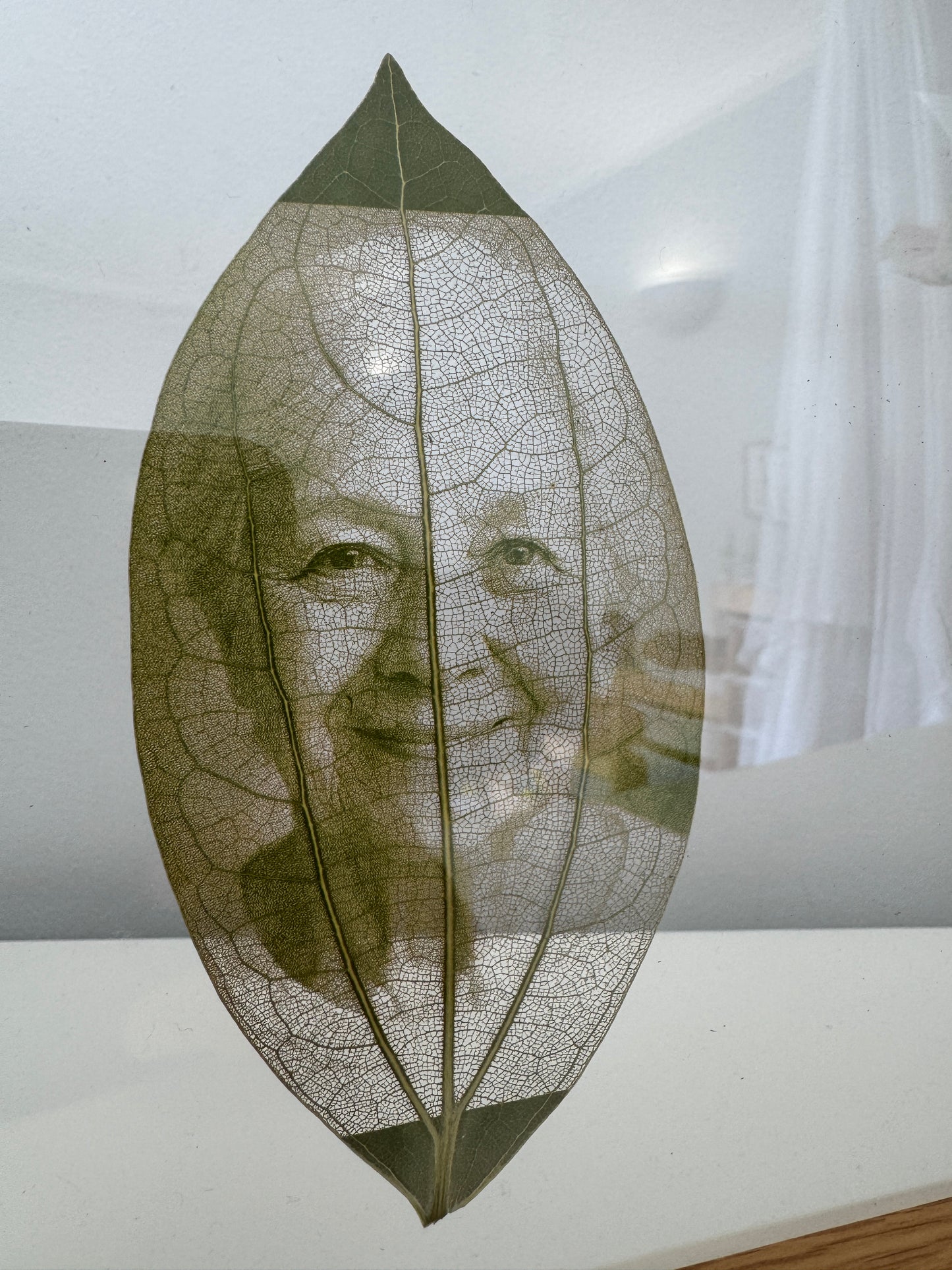 A4 Framed Laser Engraved Leaves