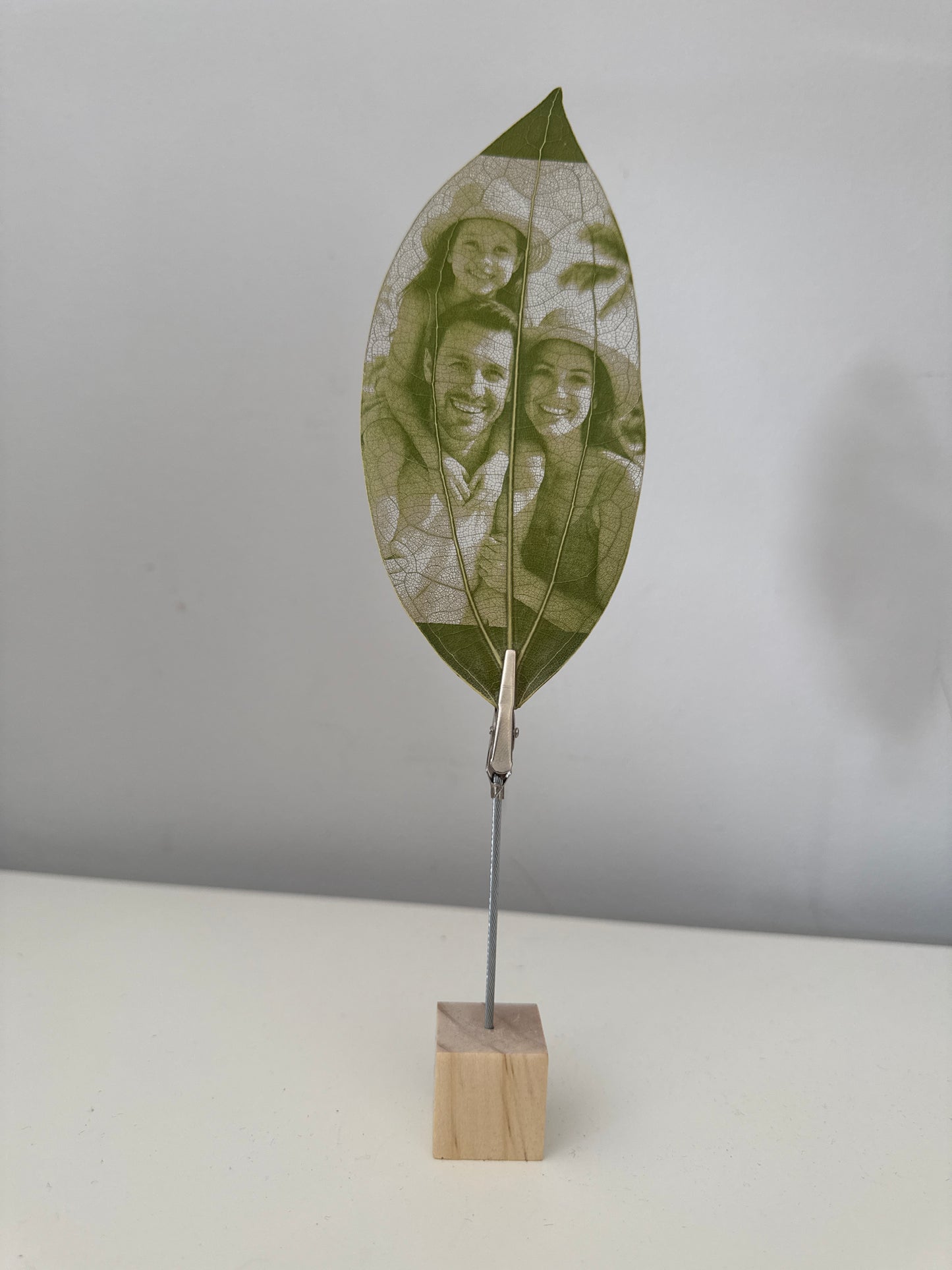 Laser Engraved Leaf + Wooden Display Block and Clip