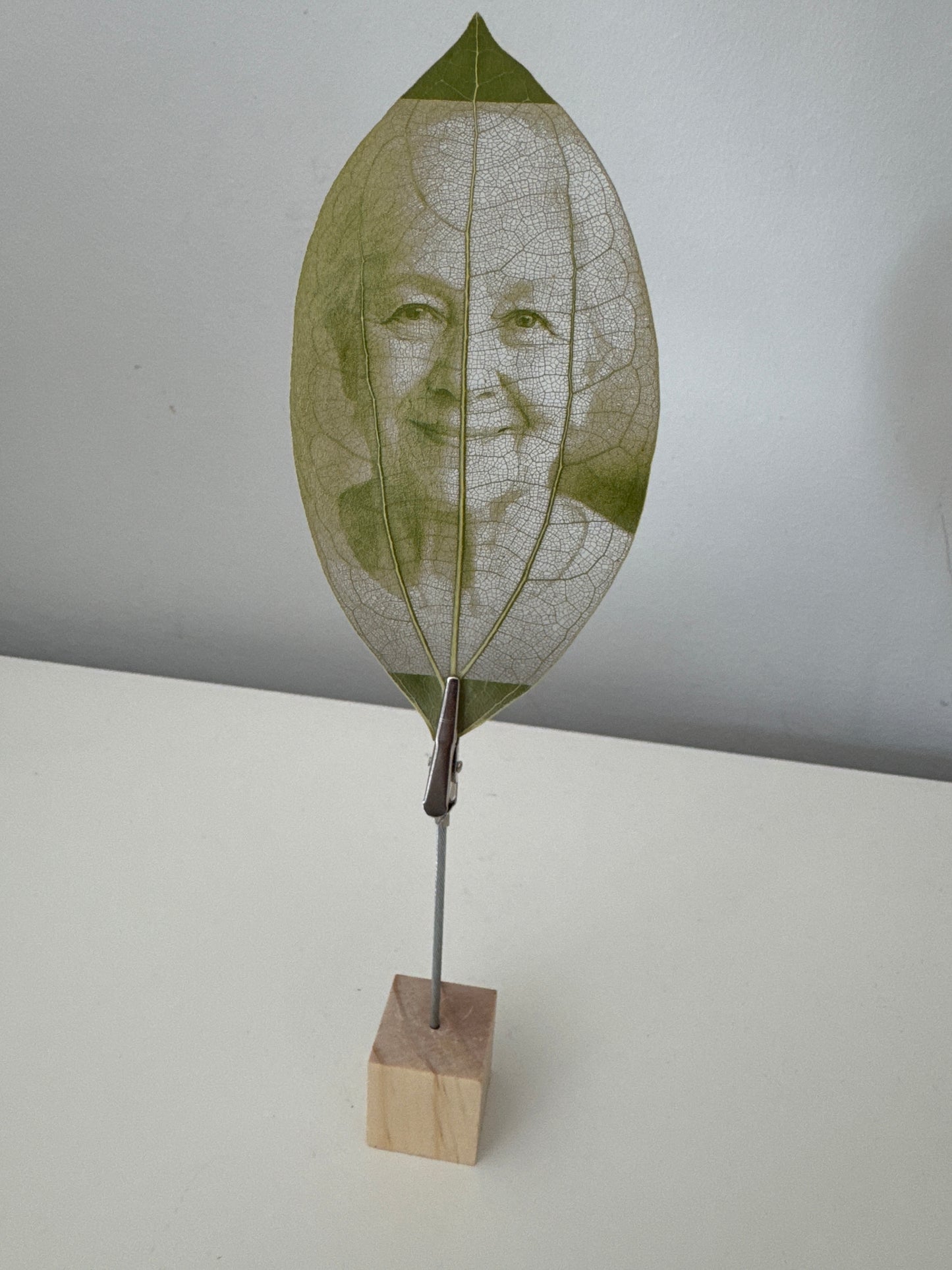 Laser Engraved Leaf + Wooden Display Block and Clip