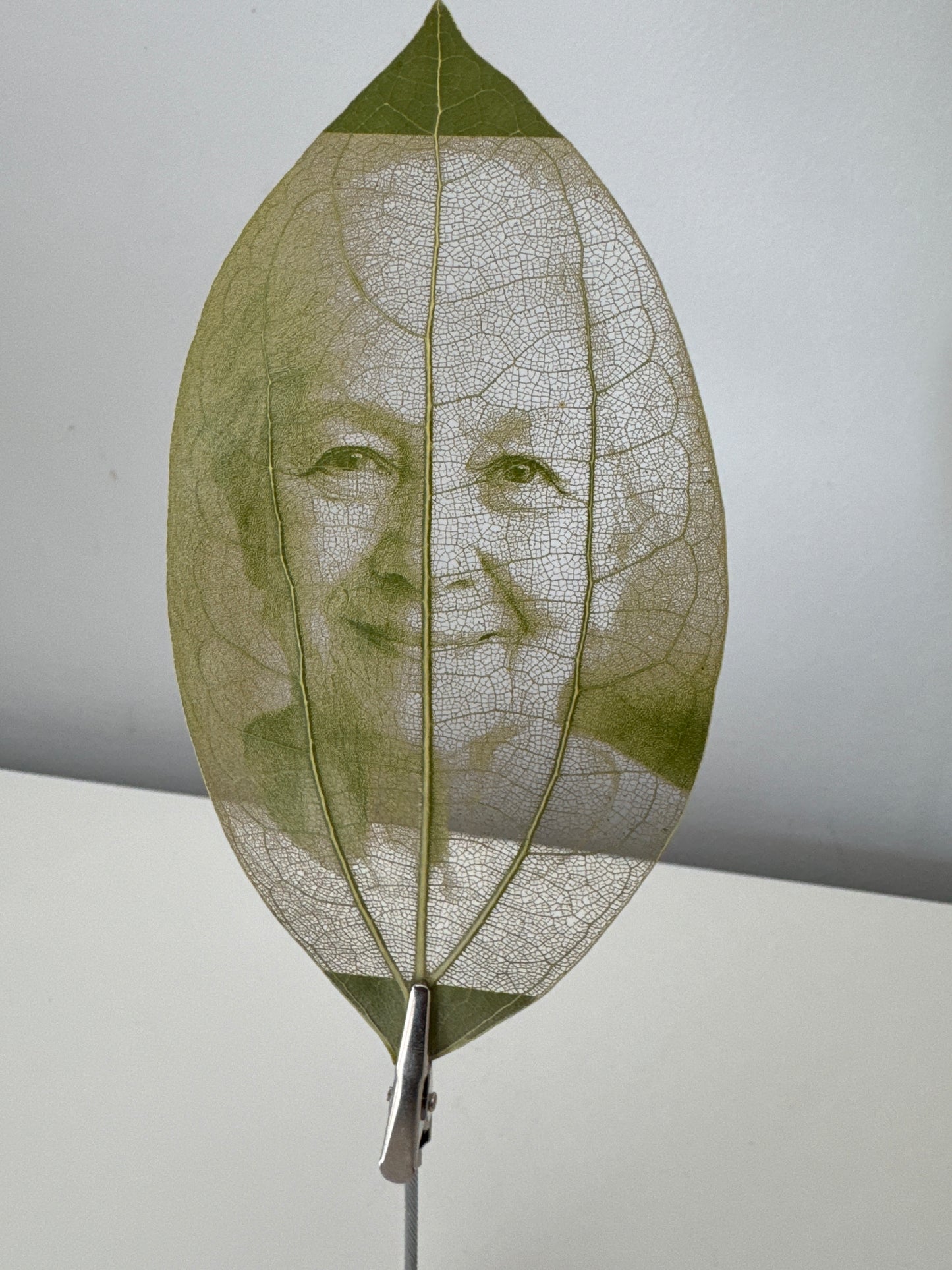 Laser Engraved Leaf + Wooden Display Block and Clip