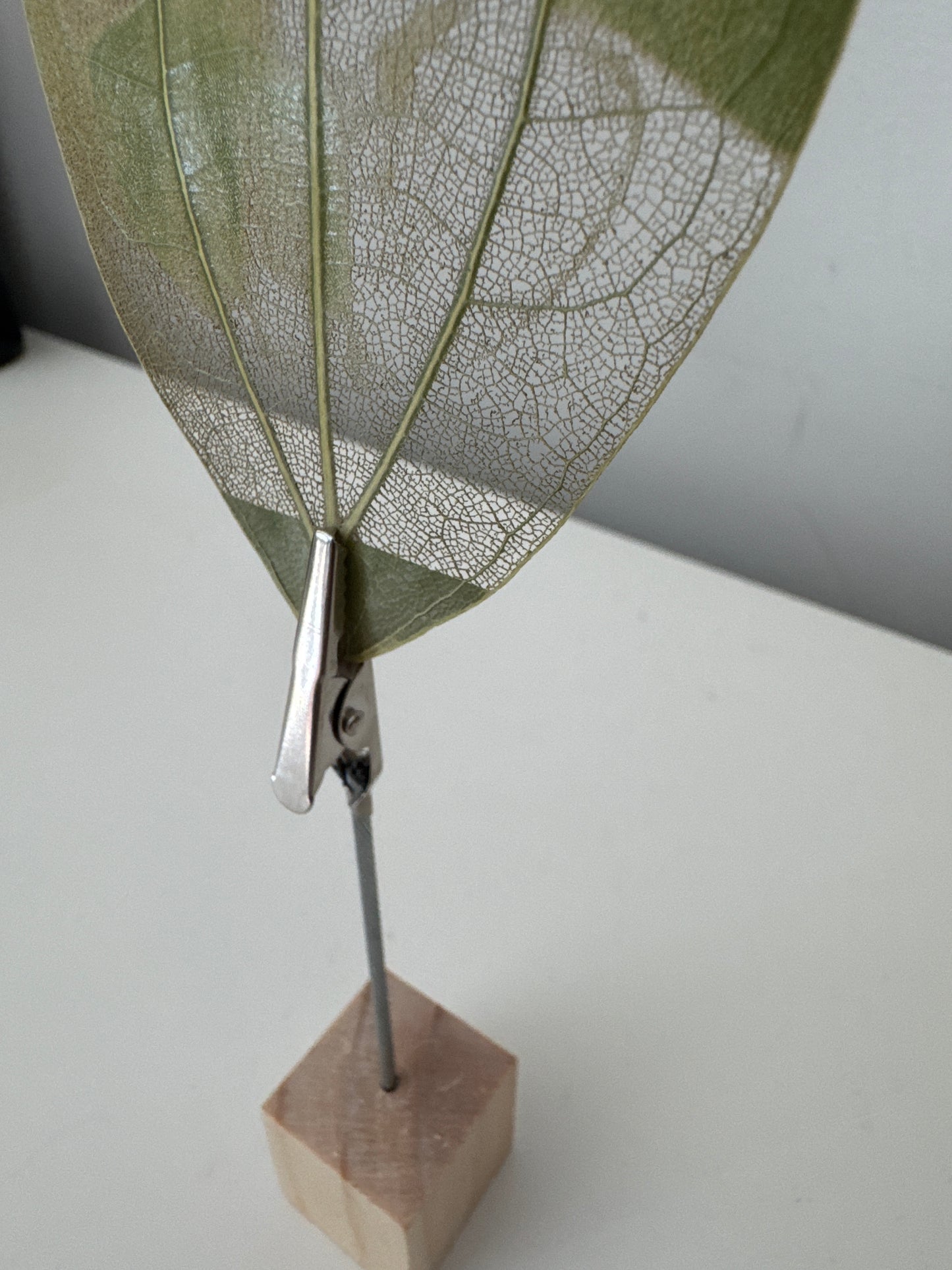 Laser Engraved Leaf + Wooden Display Block and Clip
