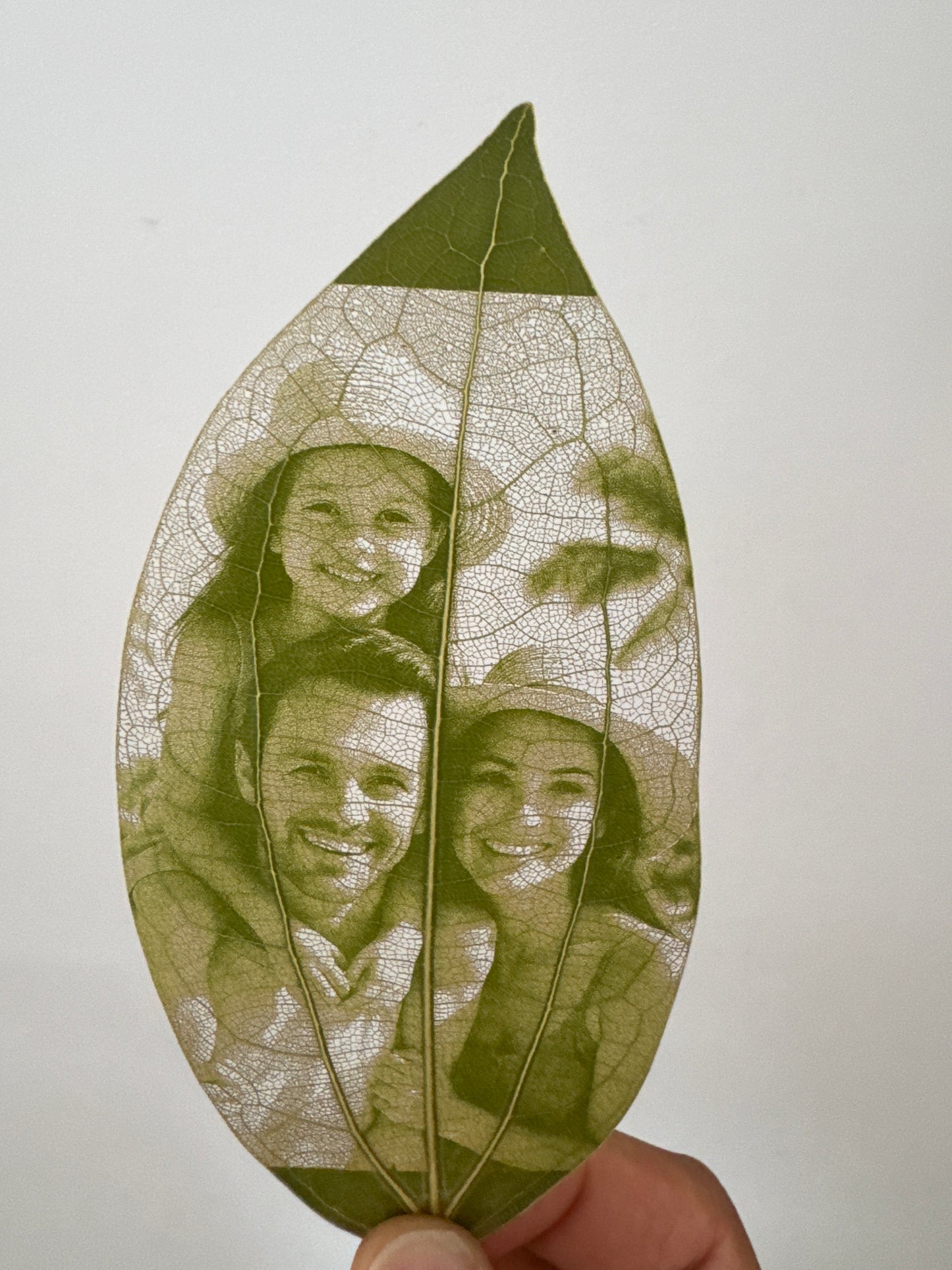 Laser Engraved Leaves