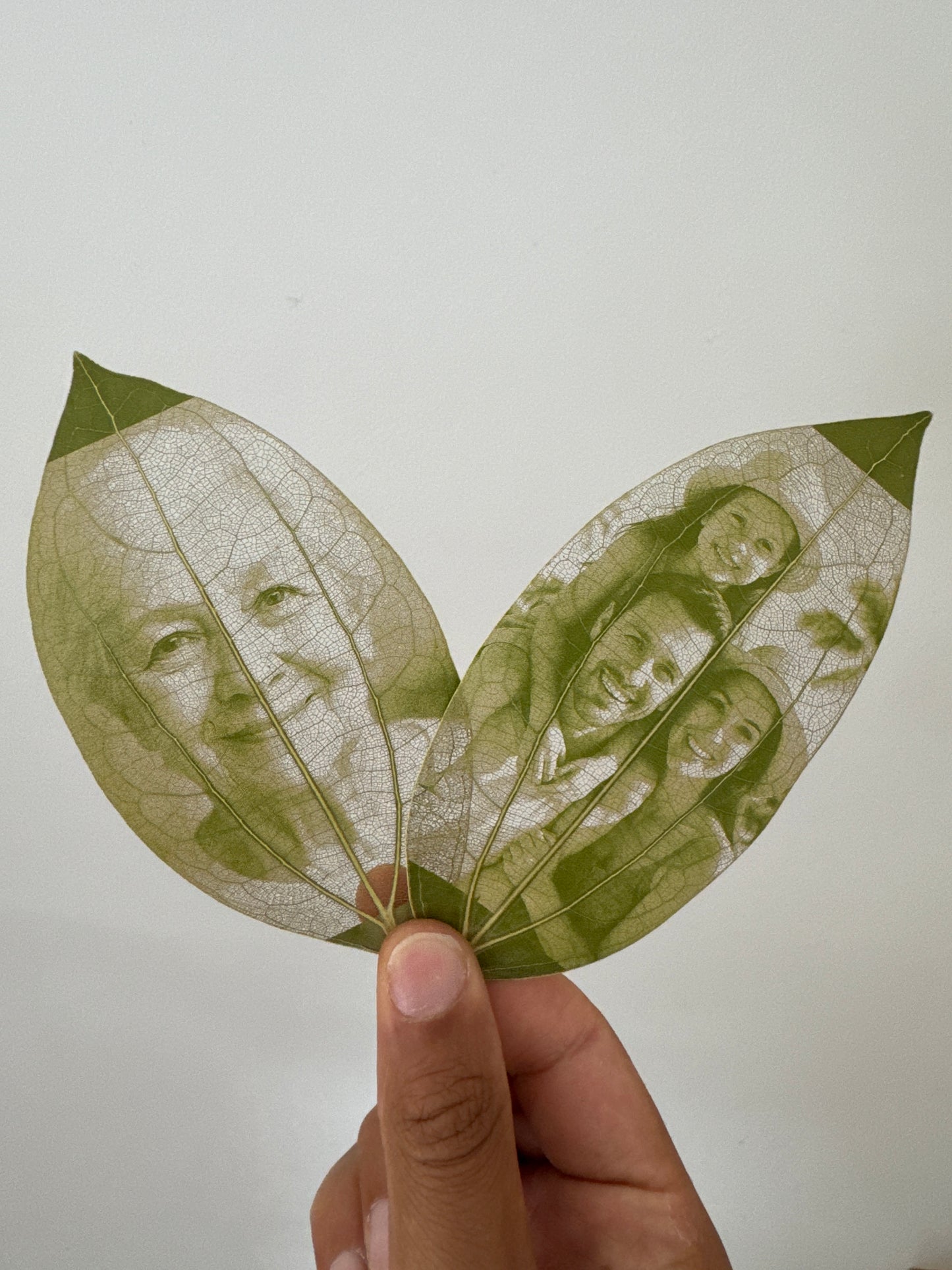 Laser Engraved Leaves