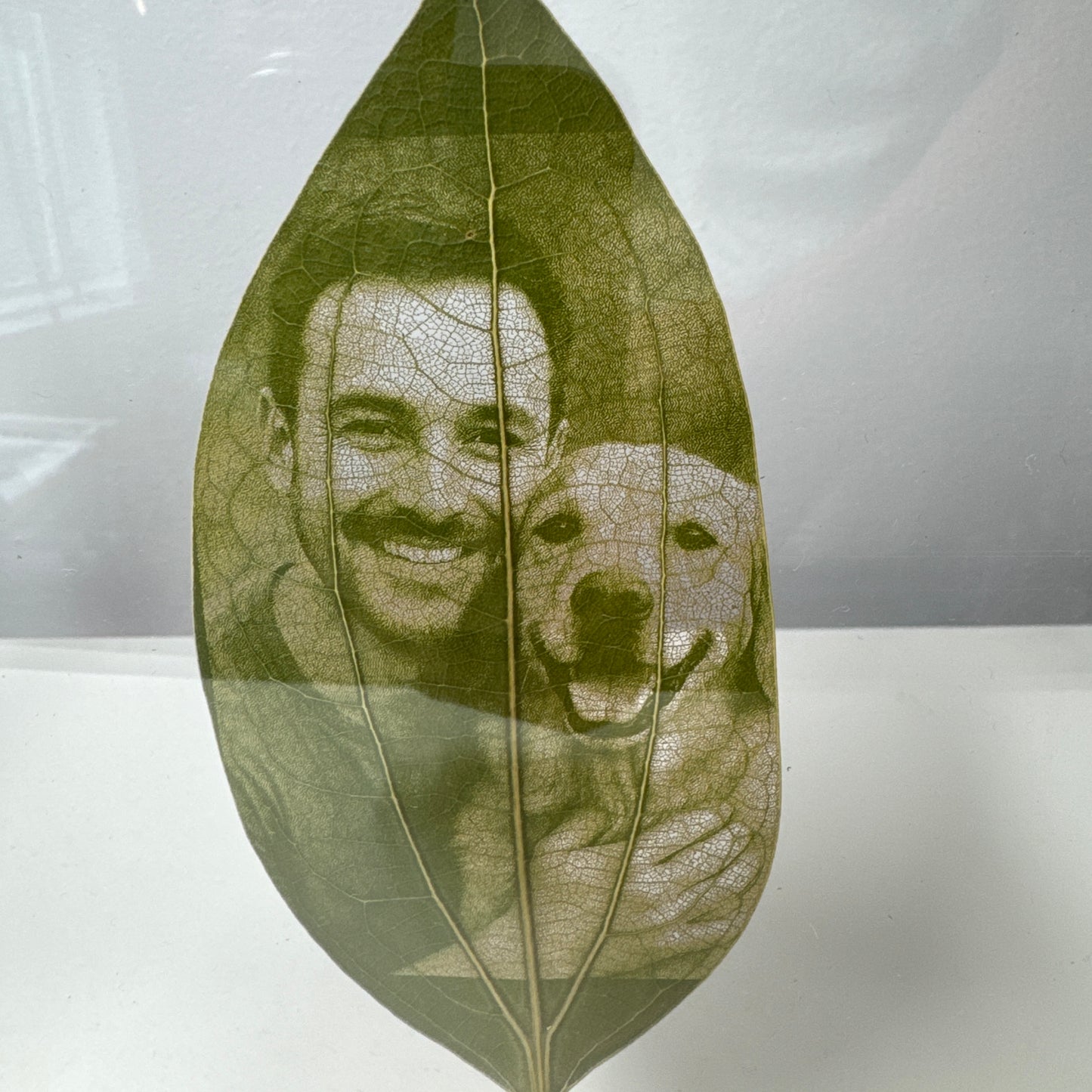 Acrylic Framed Laser Engraved Leaves