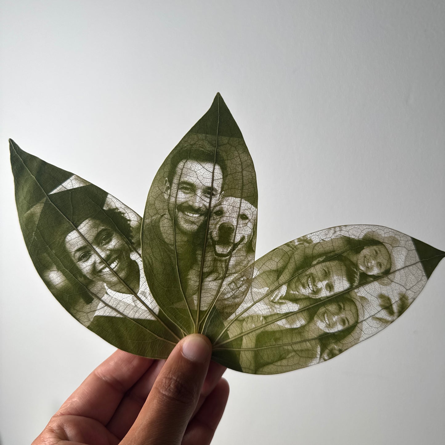Laser Engraved Leaves