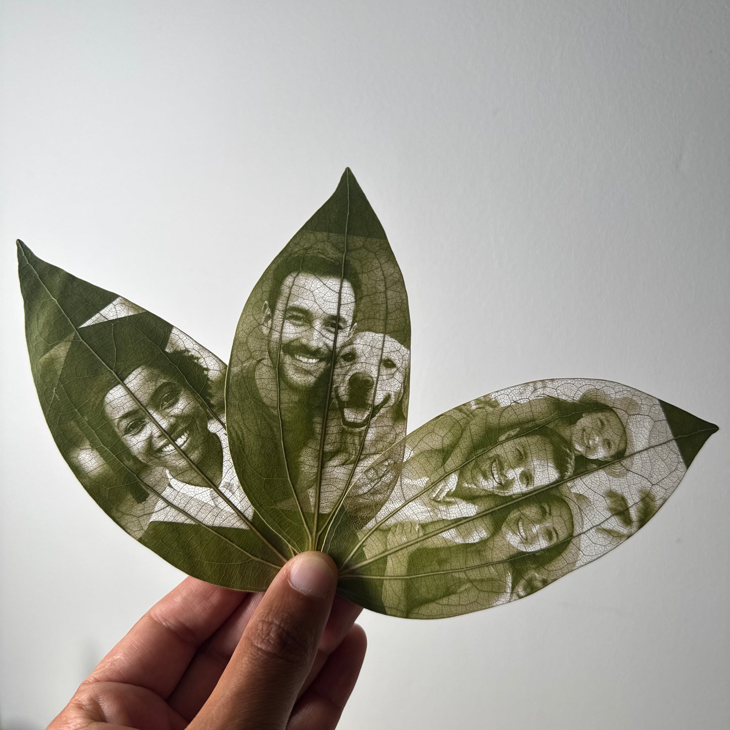 Laser Engraved Leaves