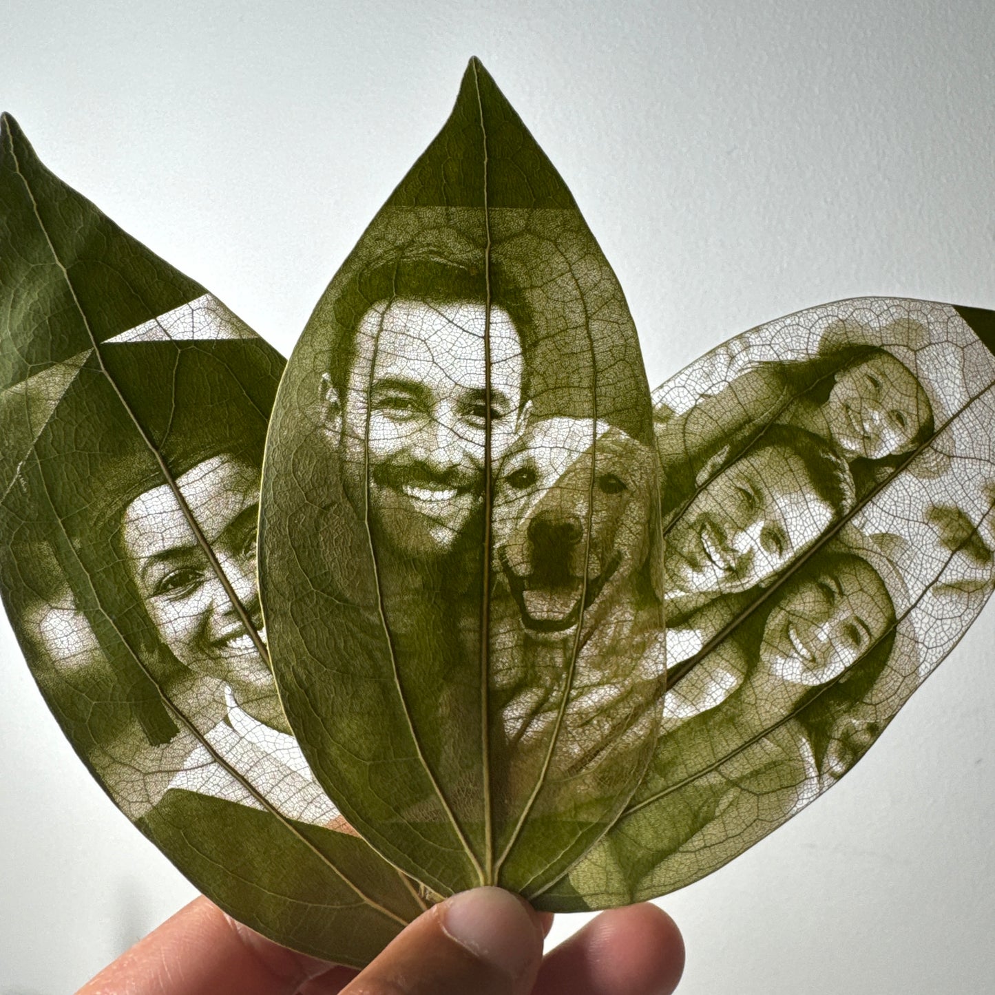 Laser Engraved Leaves