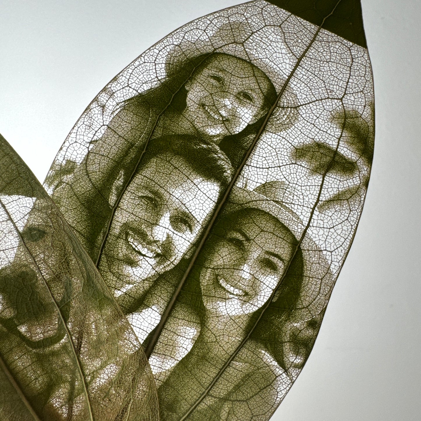 Laser Engraved Leaves