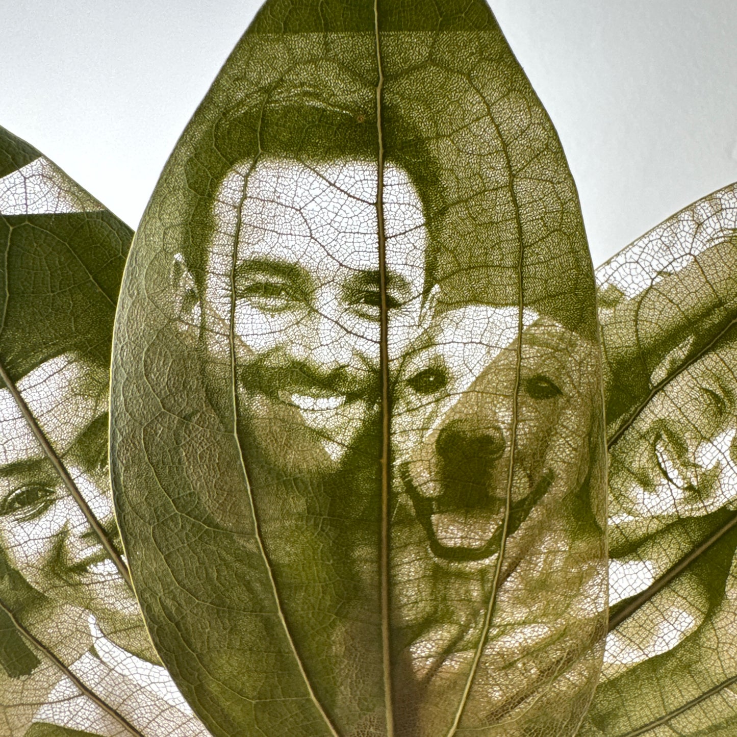 Laser Engraved Leaves