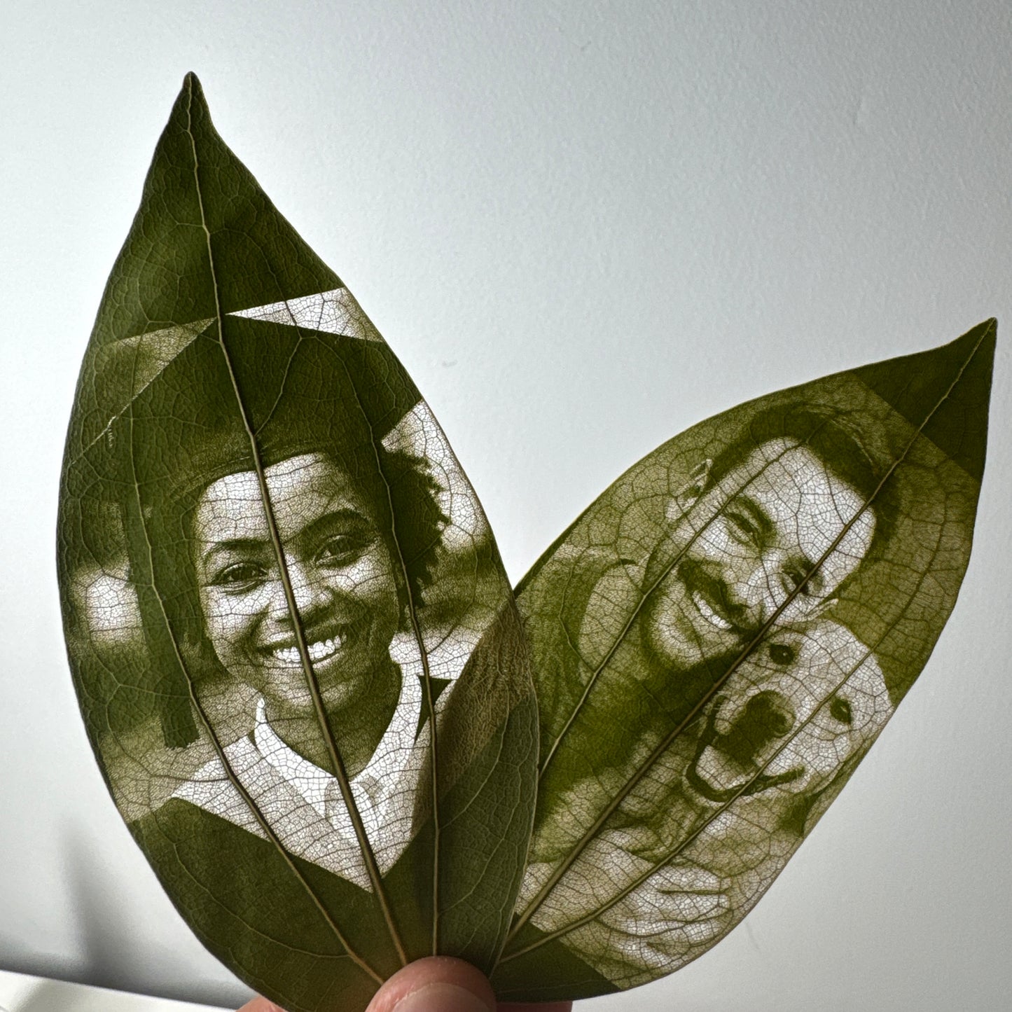Laser Engraved Leaves