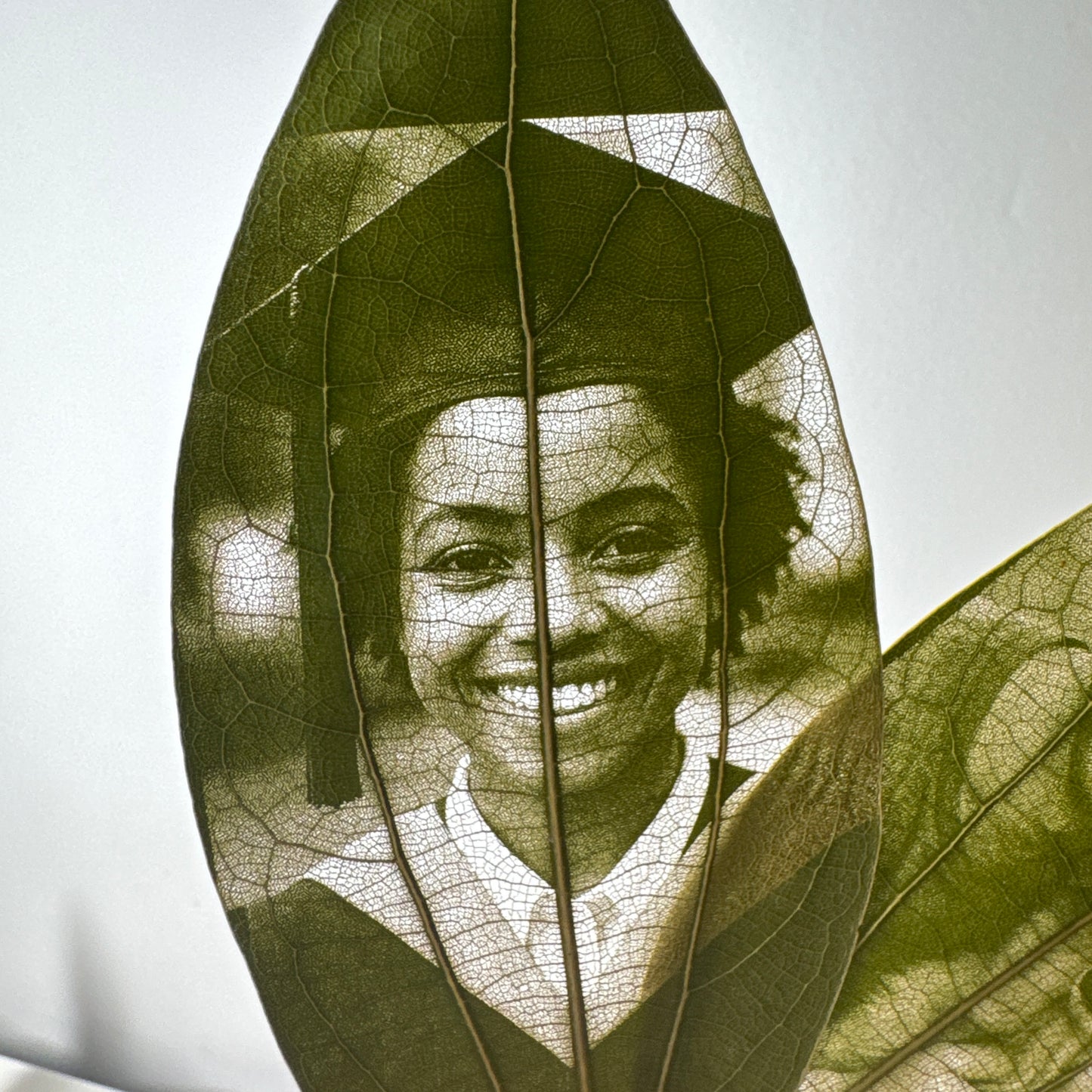 Laser Engraved Leaves