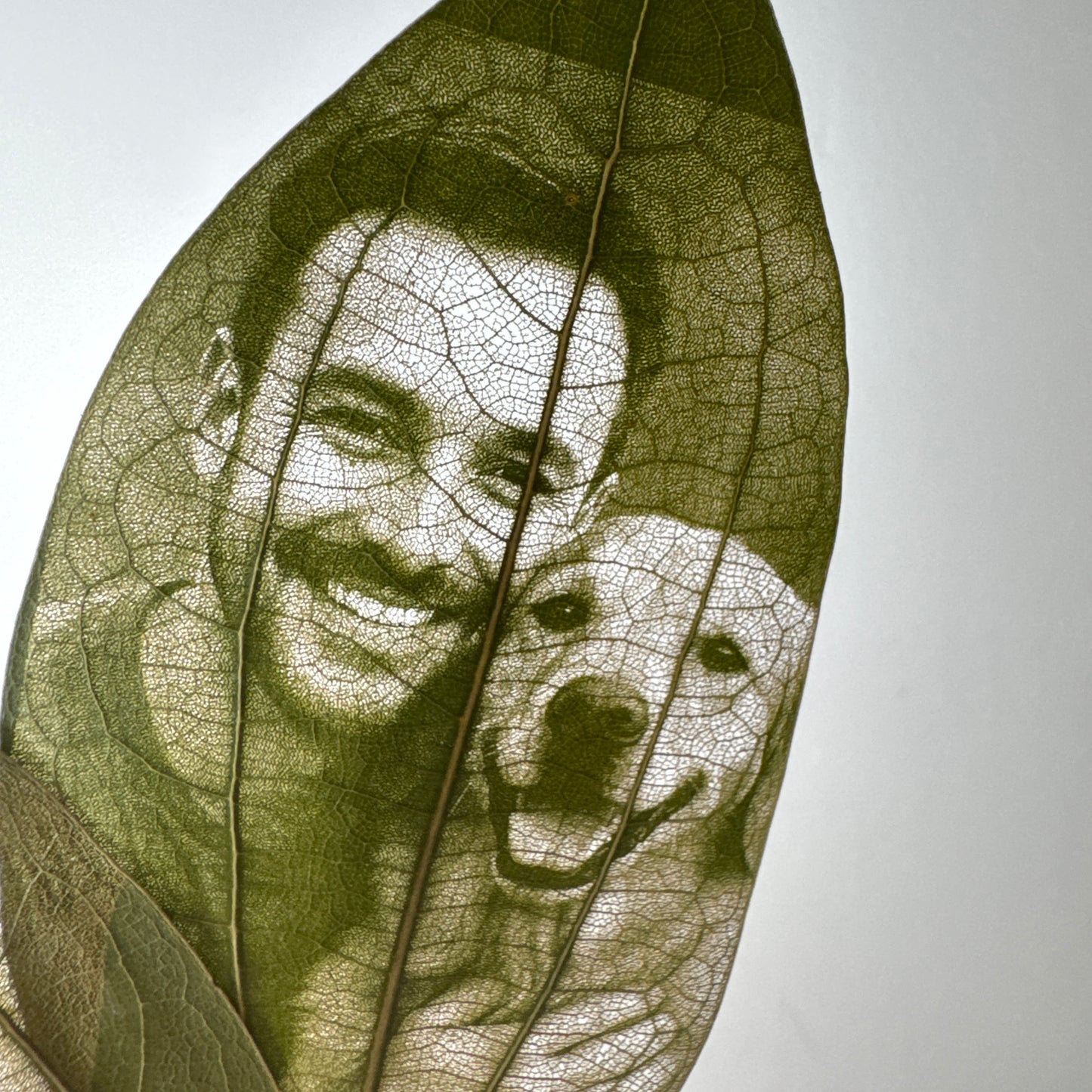 Laser Engraved Leaves