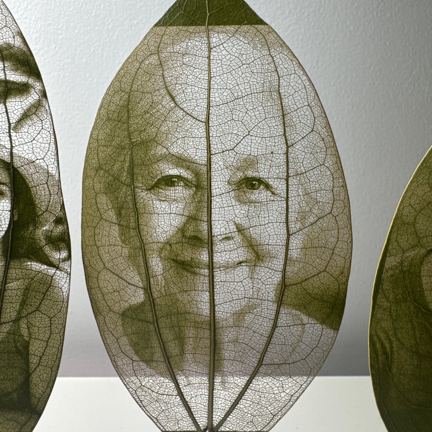 Laser Engraved Leaves