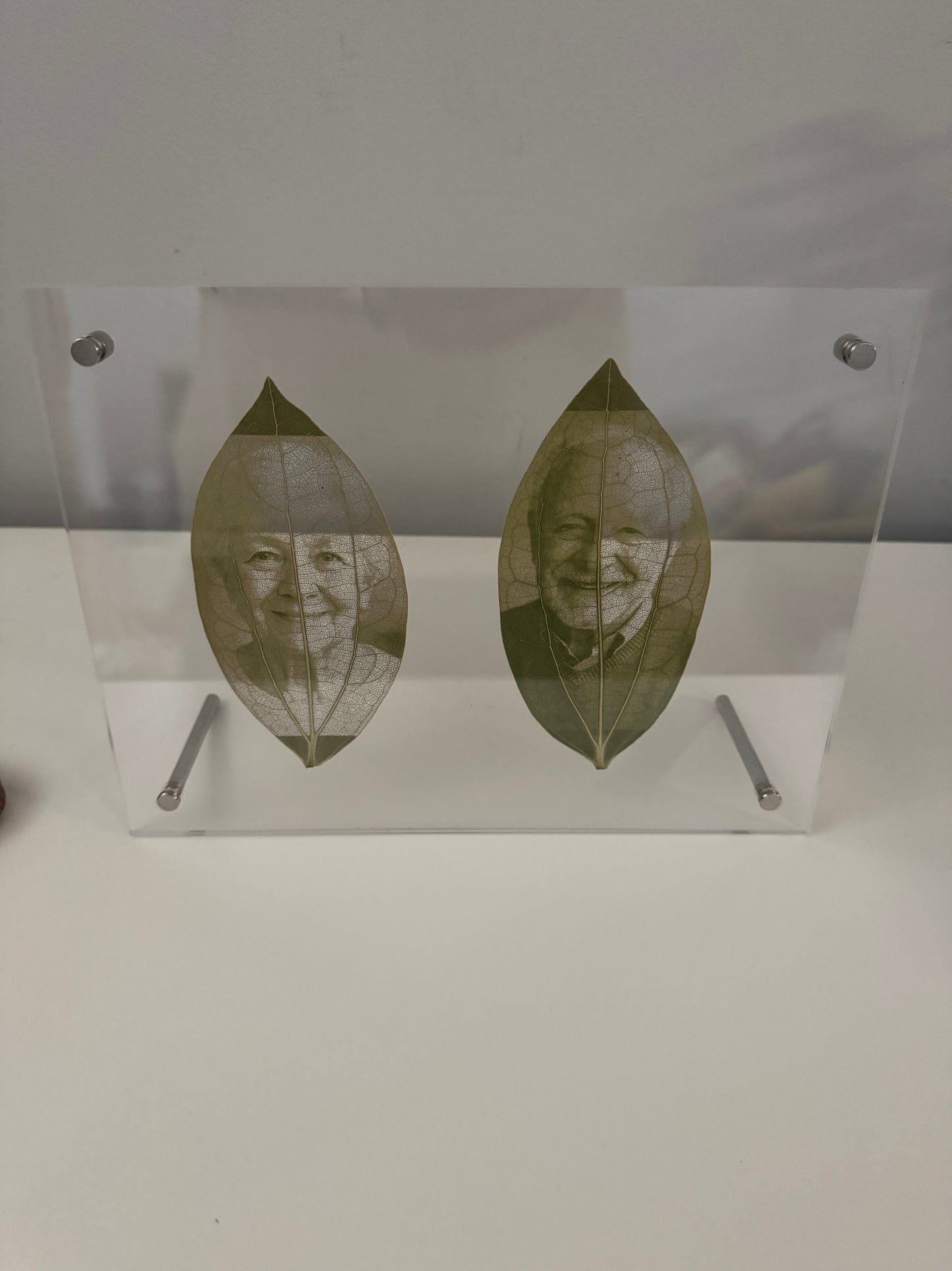 Acrylic Framed Laser Engraved Leaves