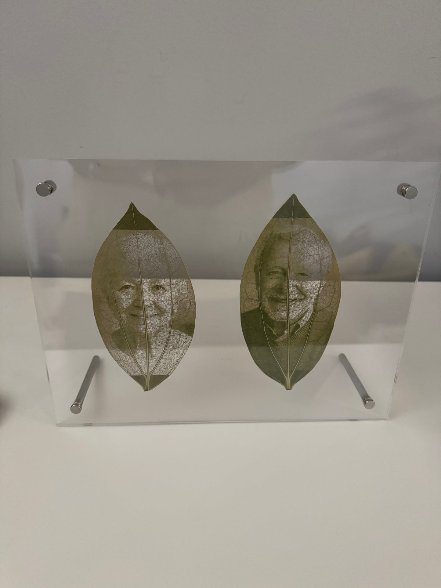 Acrylic Framed Laser Engraved Leaves