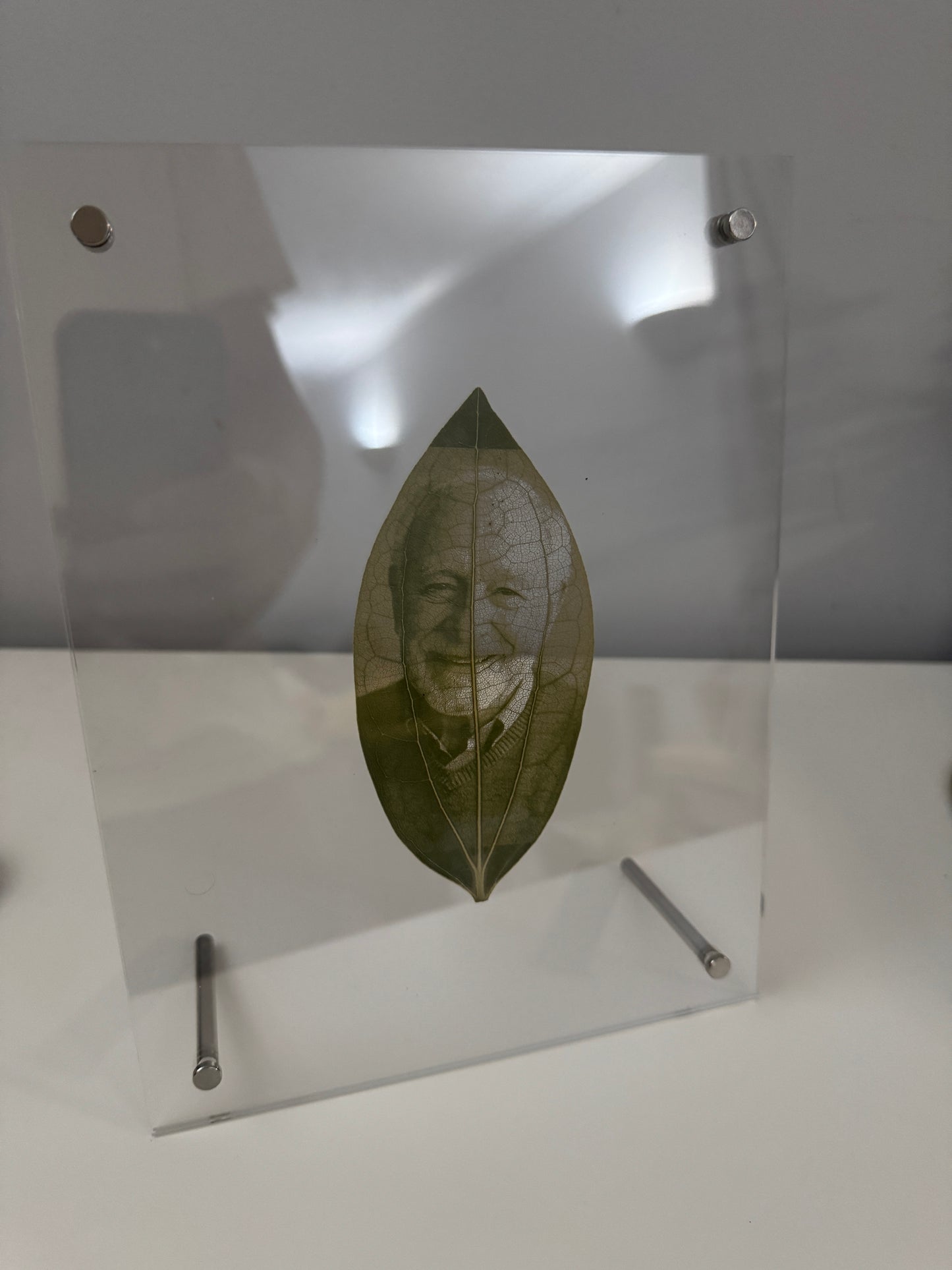 Acrylic Framed Laser Engraved Leaves