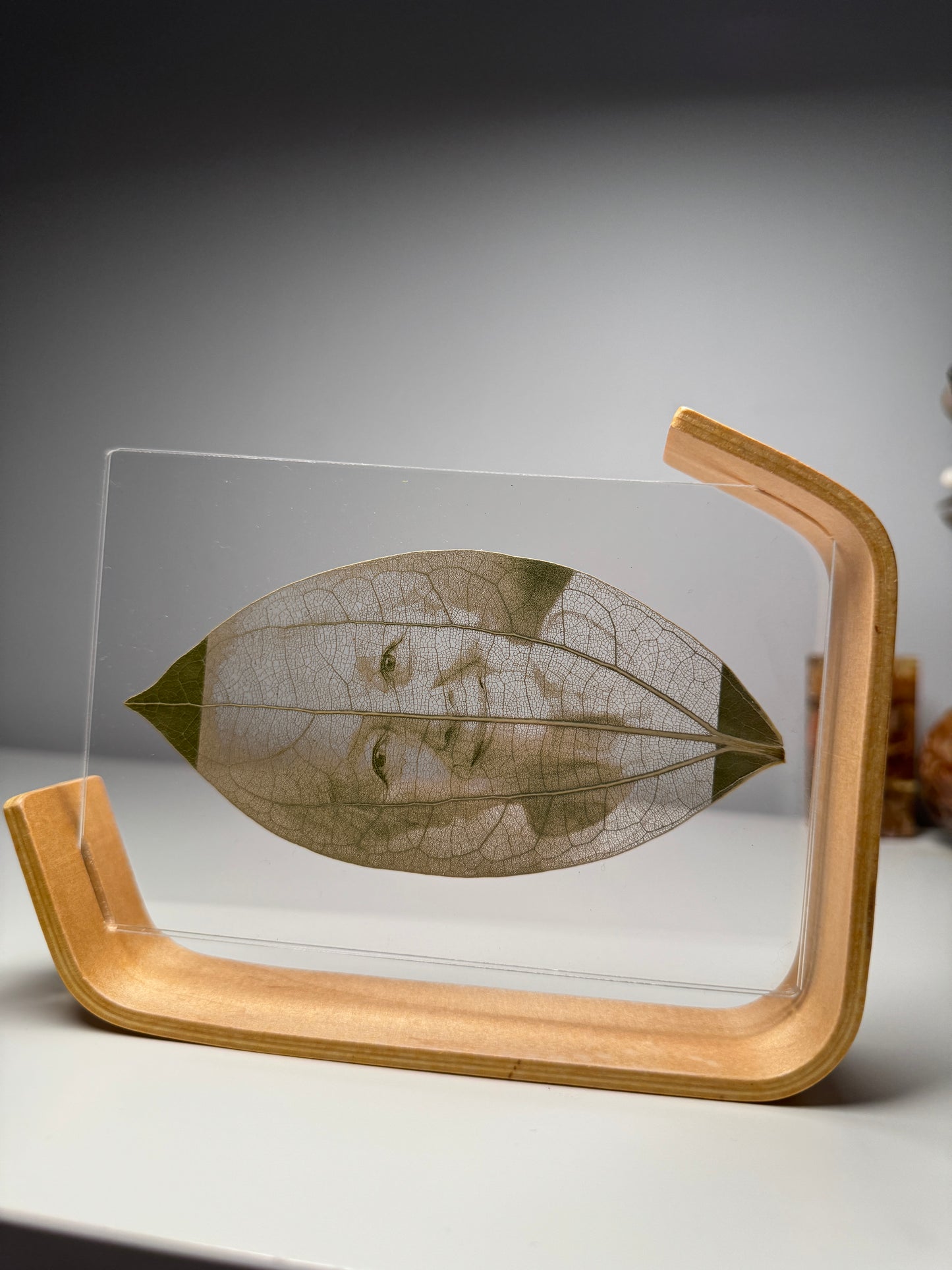Wooden Framed Laser Engraved Leaf