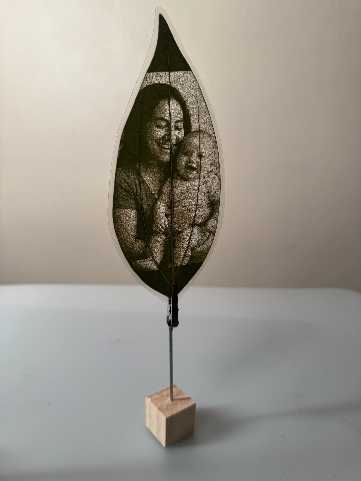 Laminated Laser Engraved Leaf + Wooden Display Cube and Clip