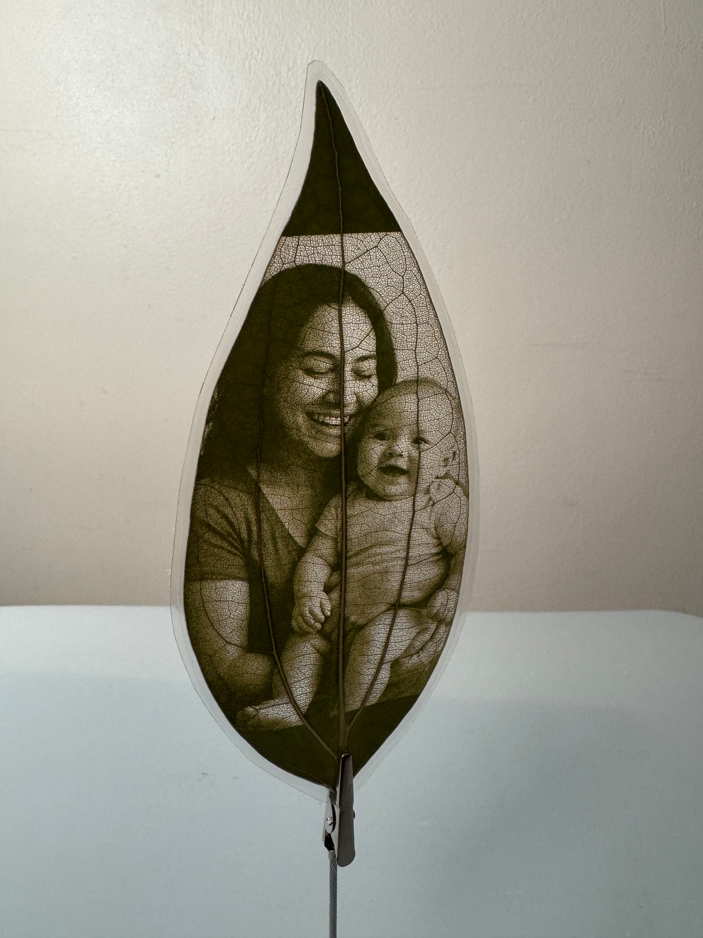 Laminated Laser Engraved Leaf + Wooden Display Cube and Clip