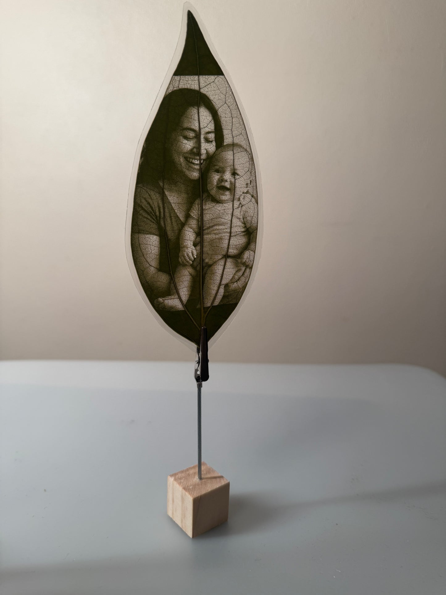 Laminated Laser Engraved Leaf + Wooden Display Cube and Clip