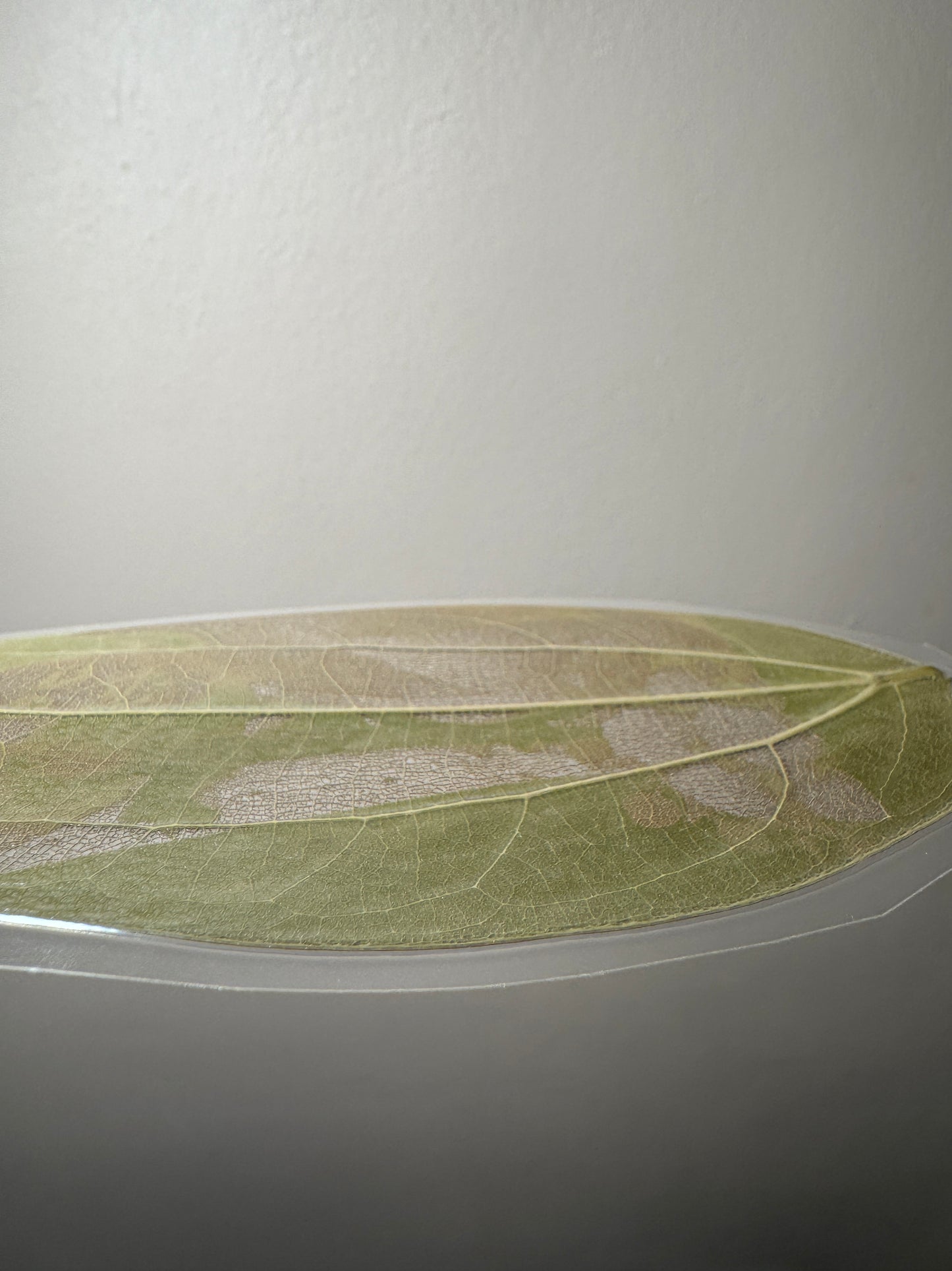 Hanging Laminated Laser-Engraved Leaf Keepsake