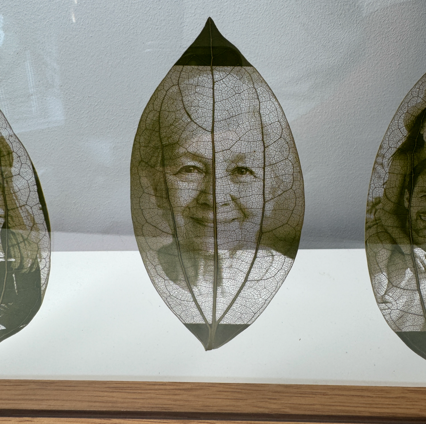 Framed Laser Engraved Leaves