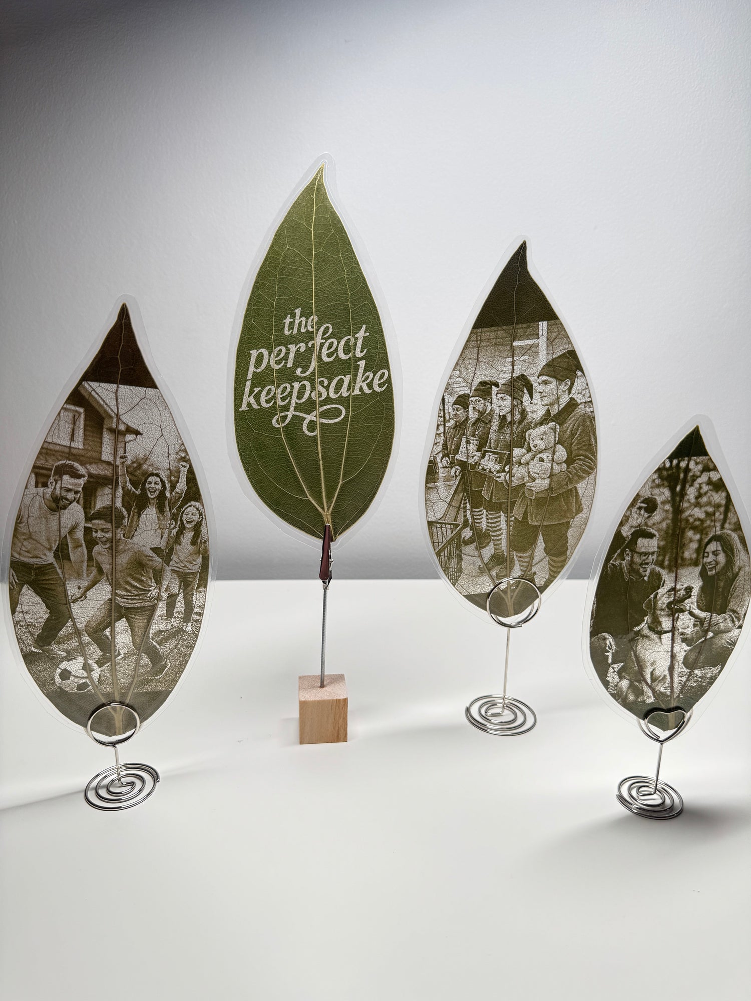 Laser Engraved Leaves with Display Stands