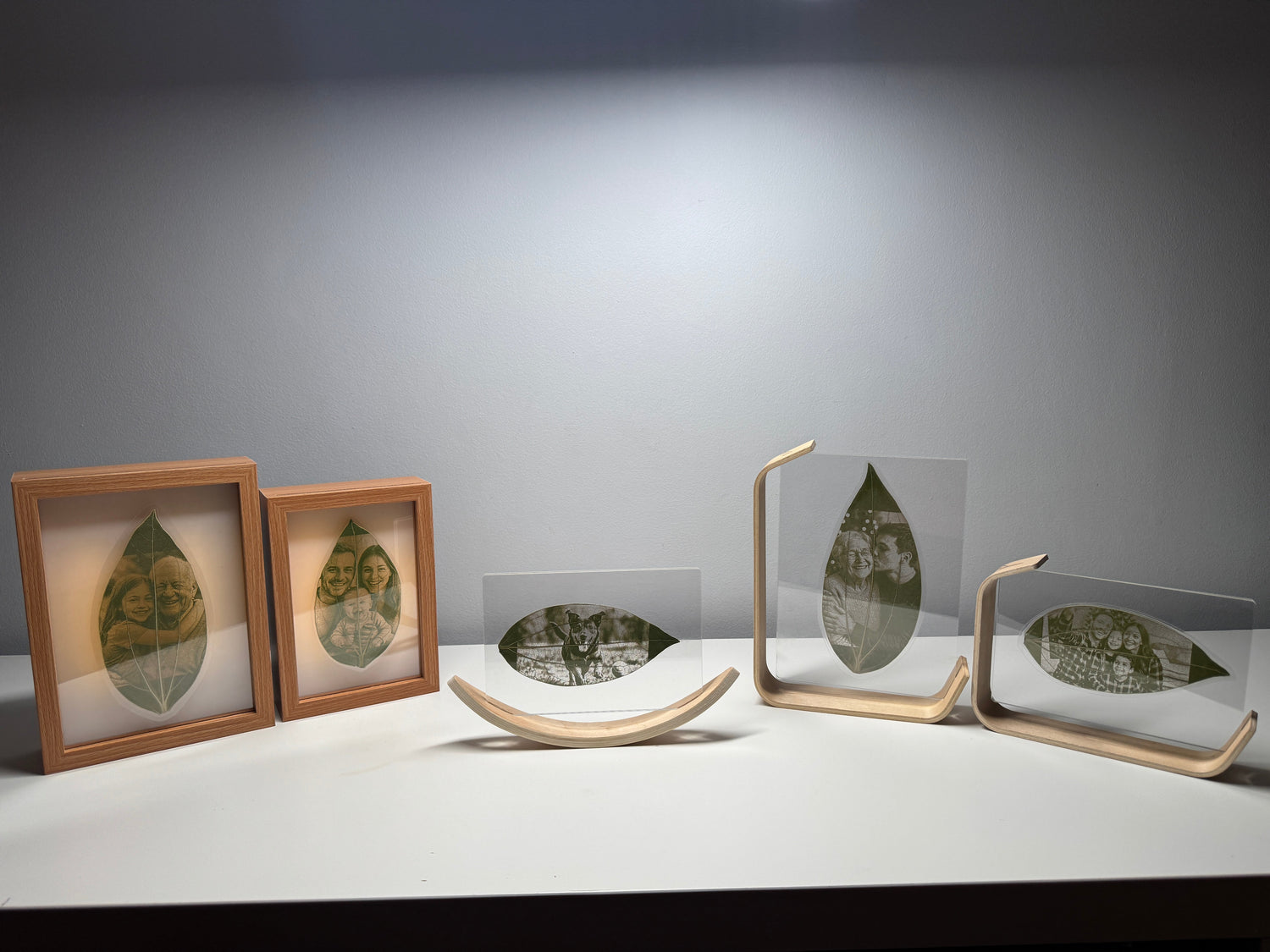 Floating Leaf Art Frames Collection