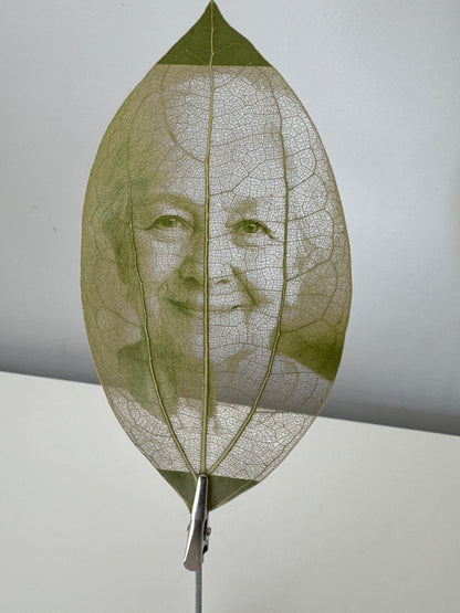 Laser Engraved Leaf + Wooden Display Block and Clip
