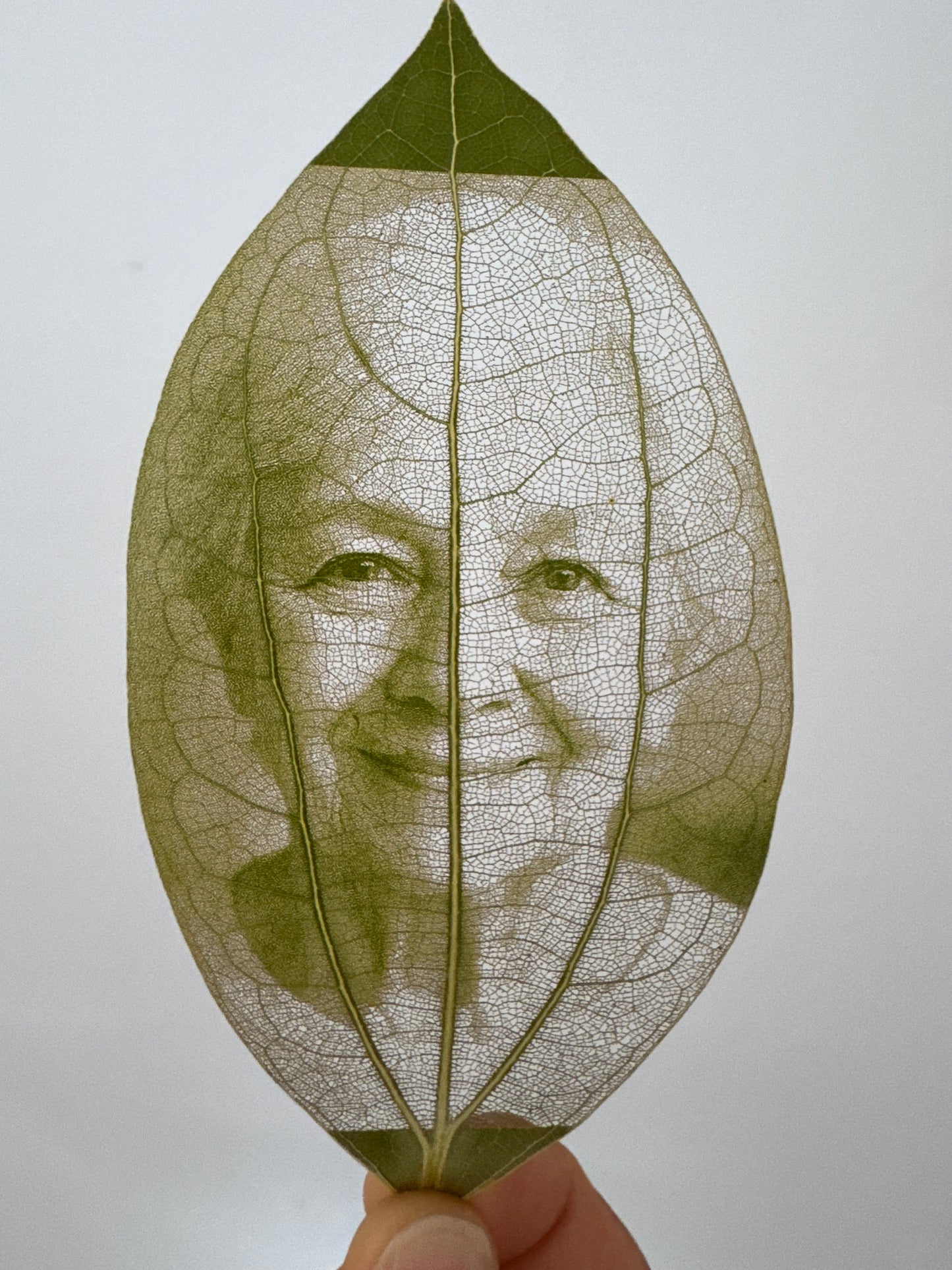 Laser Engraved Leaves