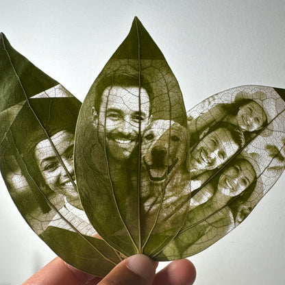 Laser Engraved Leaves