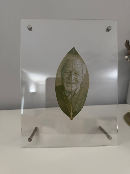 Acrylic Framed Laser Engraved Leaves