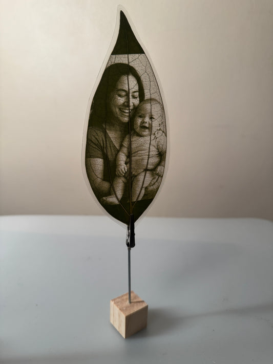 Laminated Laser Engraved Leaf + Wooden Display Cube and Clip