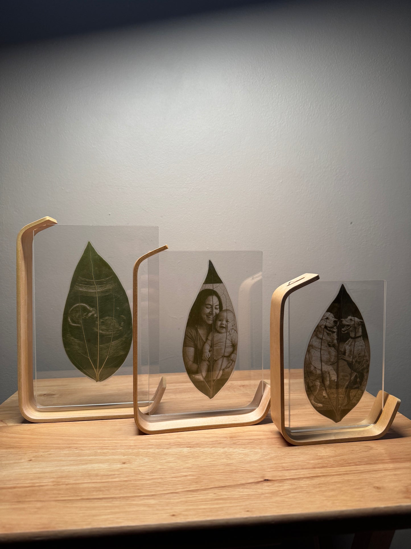 Wooden Framed Laser Engraved Leaf