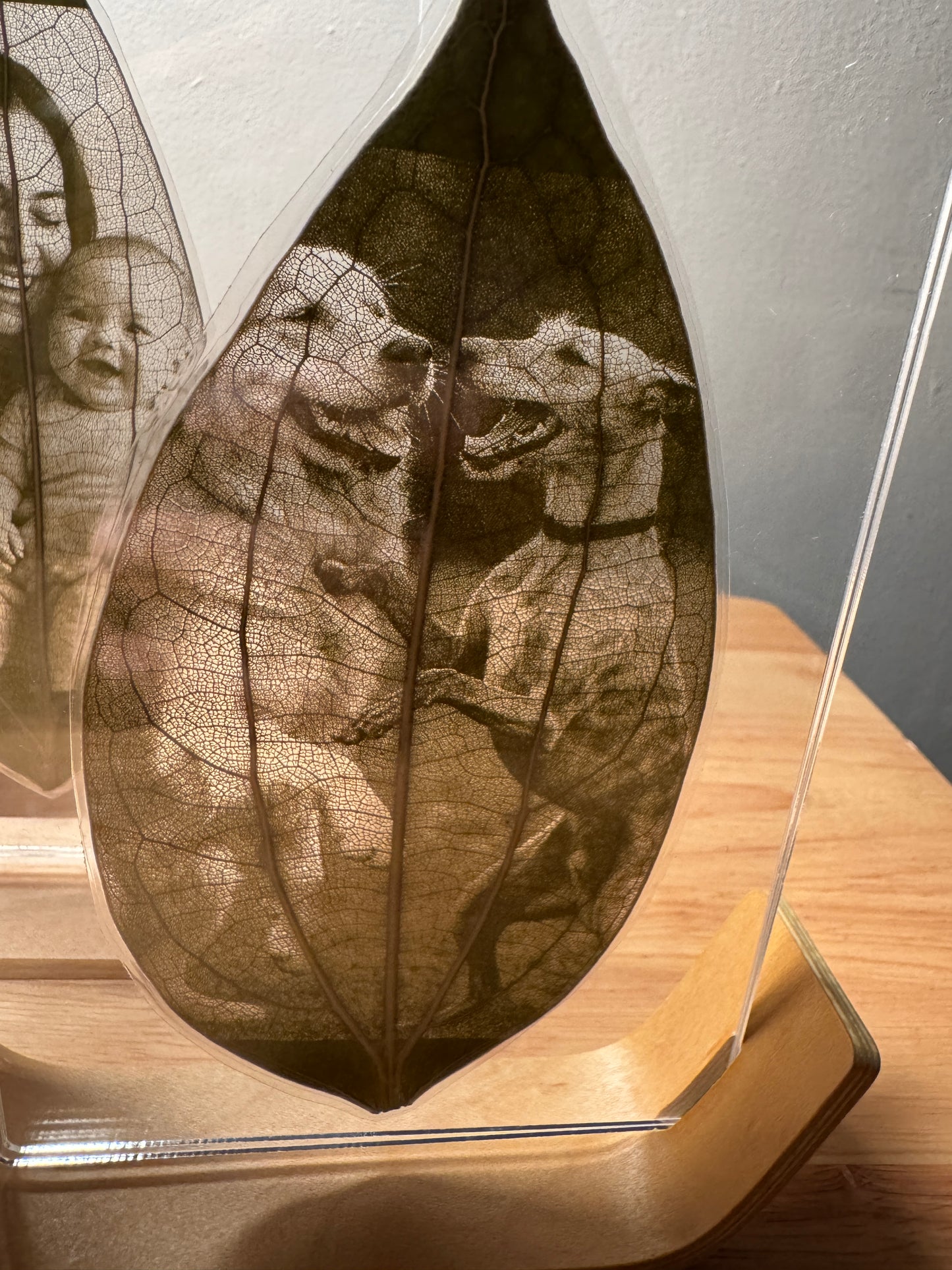 Wooden Framed Laser Engraved Leaf