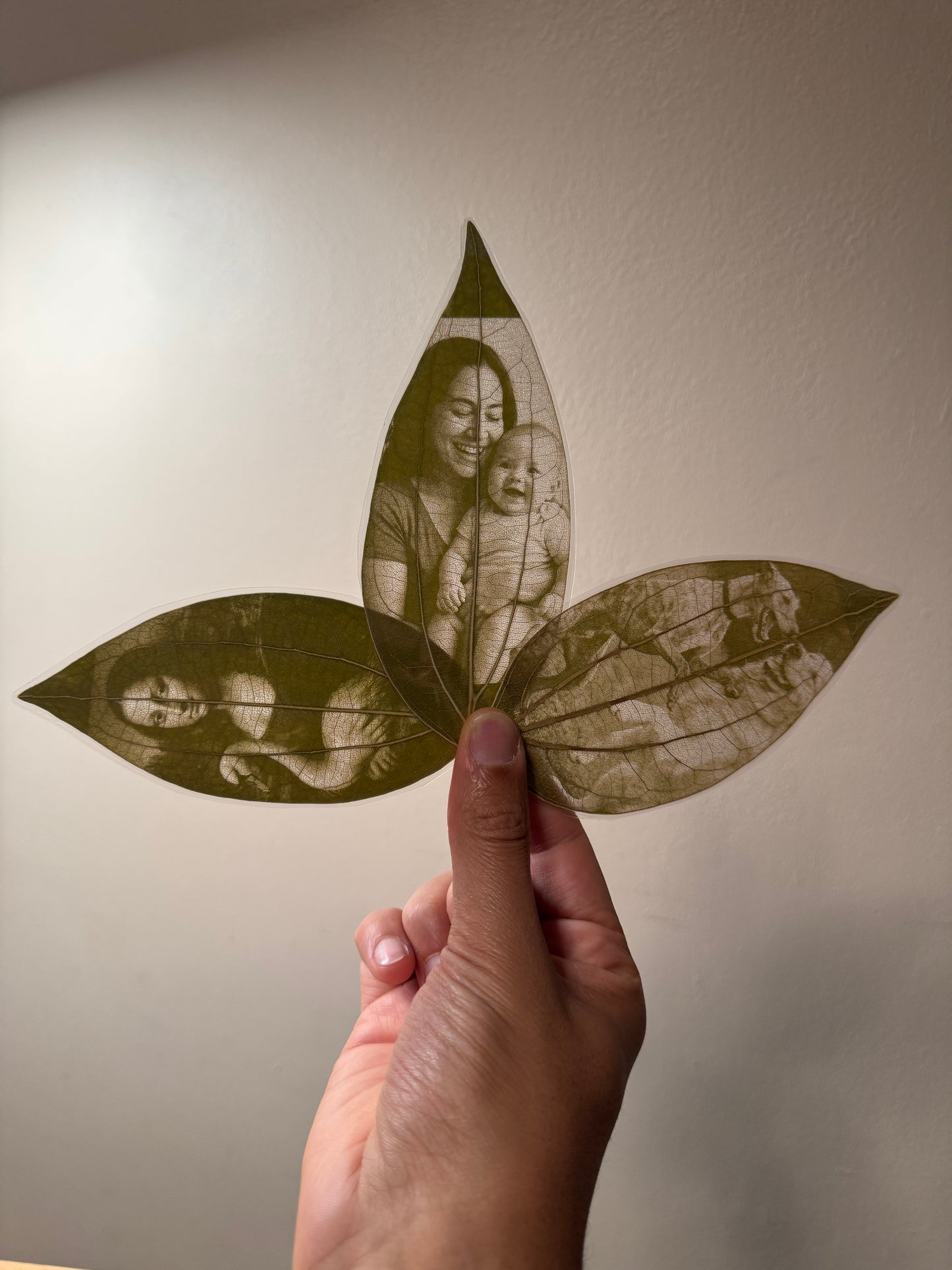 Laser Engraved Leaves