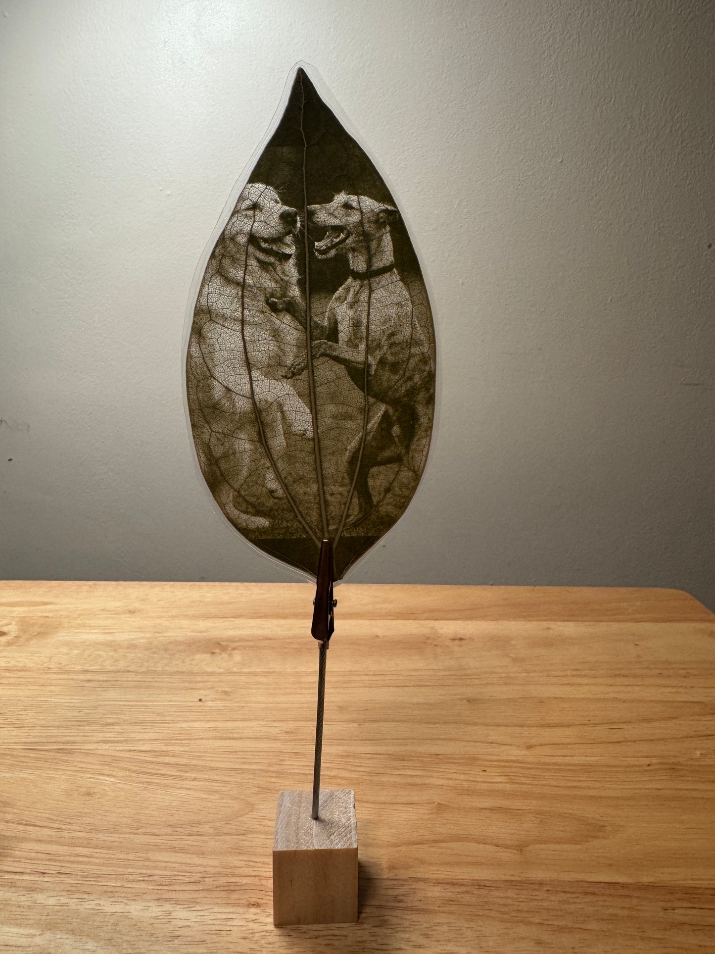 Laminated Laser Engraved Leaf + Wooden Display Cube and Clip