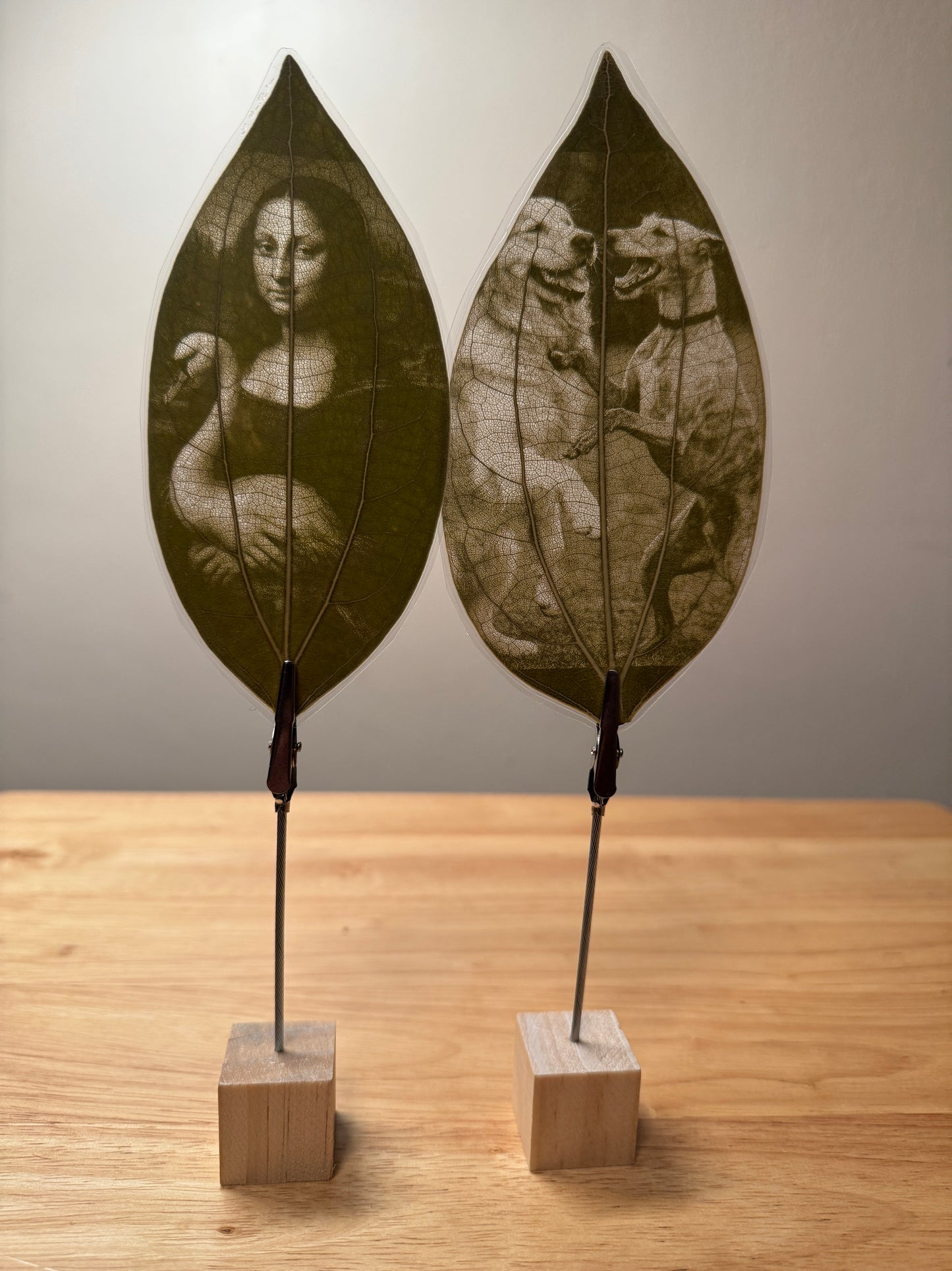 Laminated Laser Engraved Leaf + Wooden Display Cube and Clip