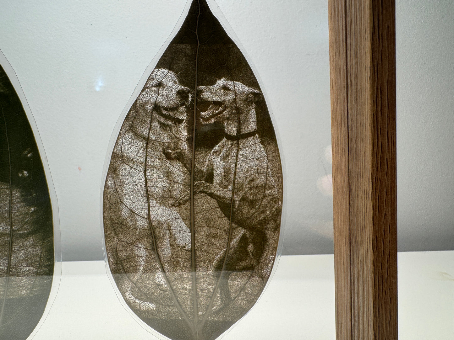 Framed Laser Engraved Leaves