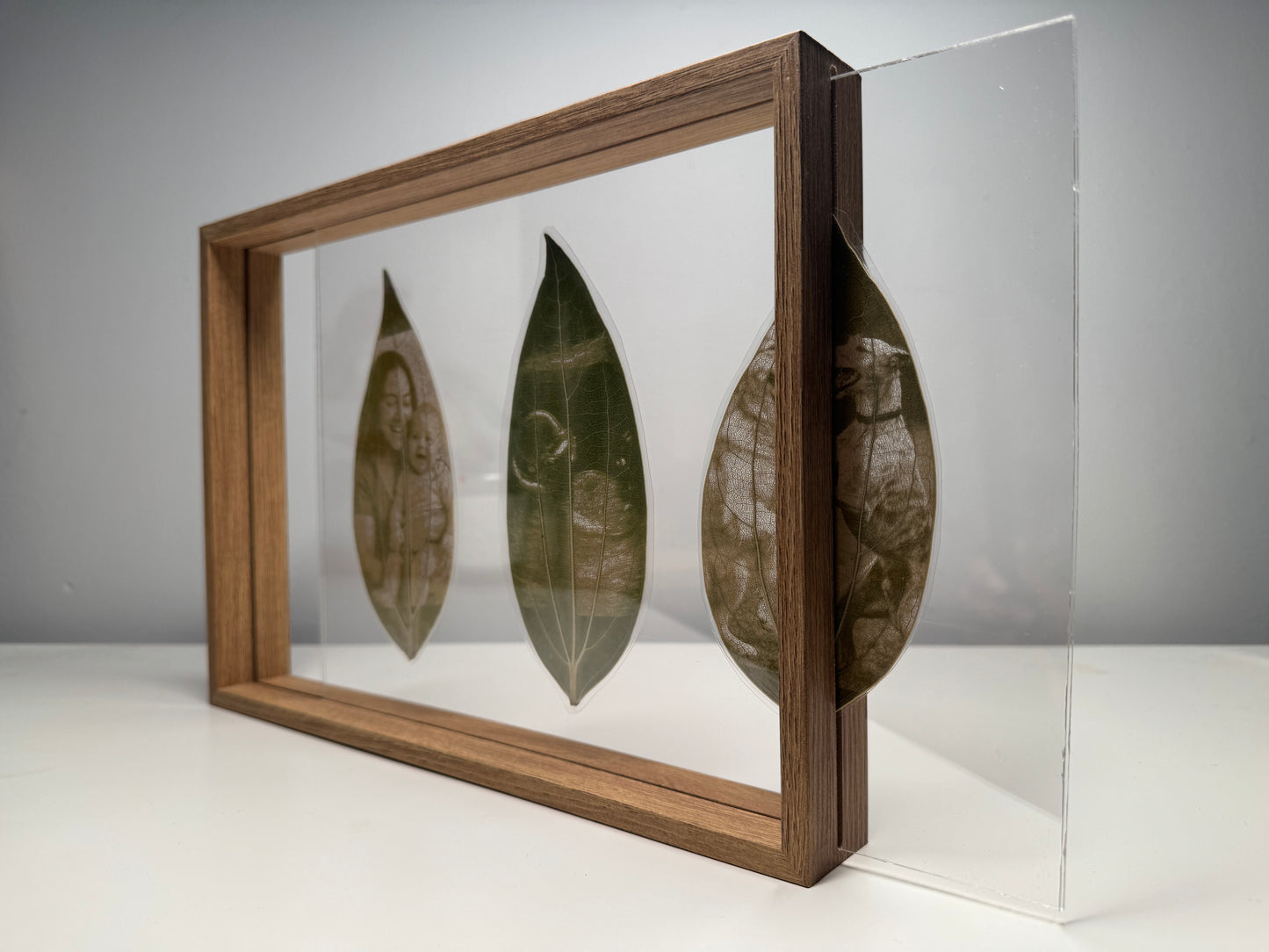 Framed Laser Engraved Leaves