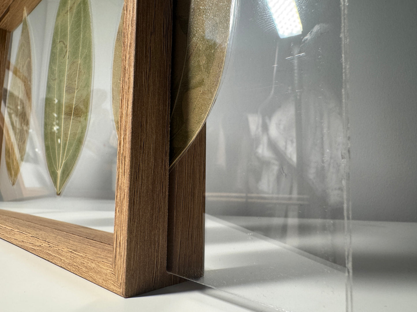 Framed Laser Engraved Leaves