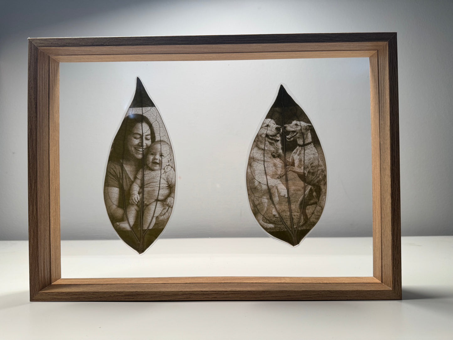 Framed Laser Engraved Leaves