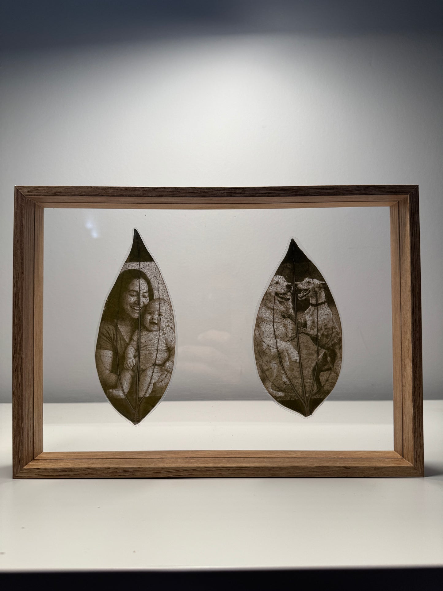 Framed Laser Engraved Leaves