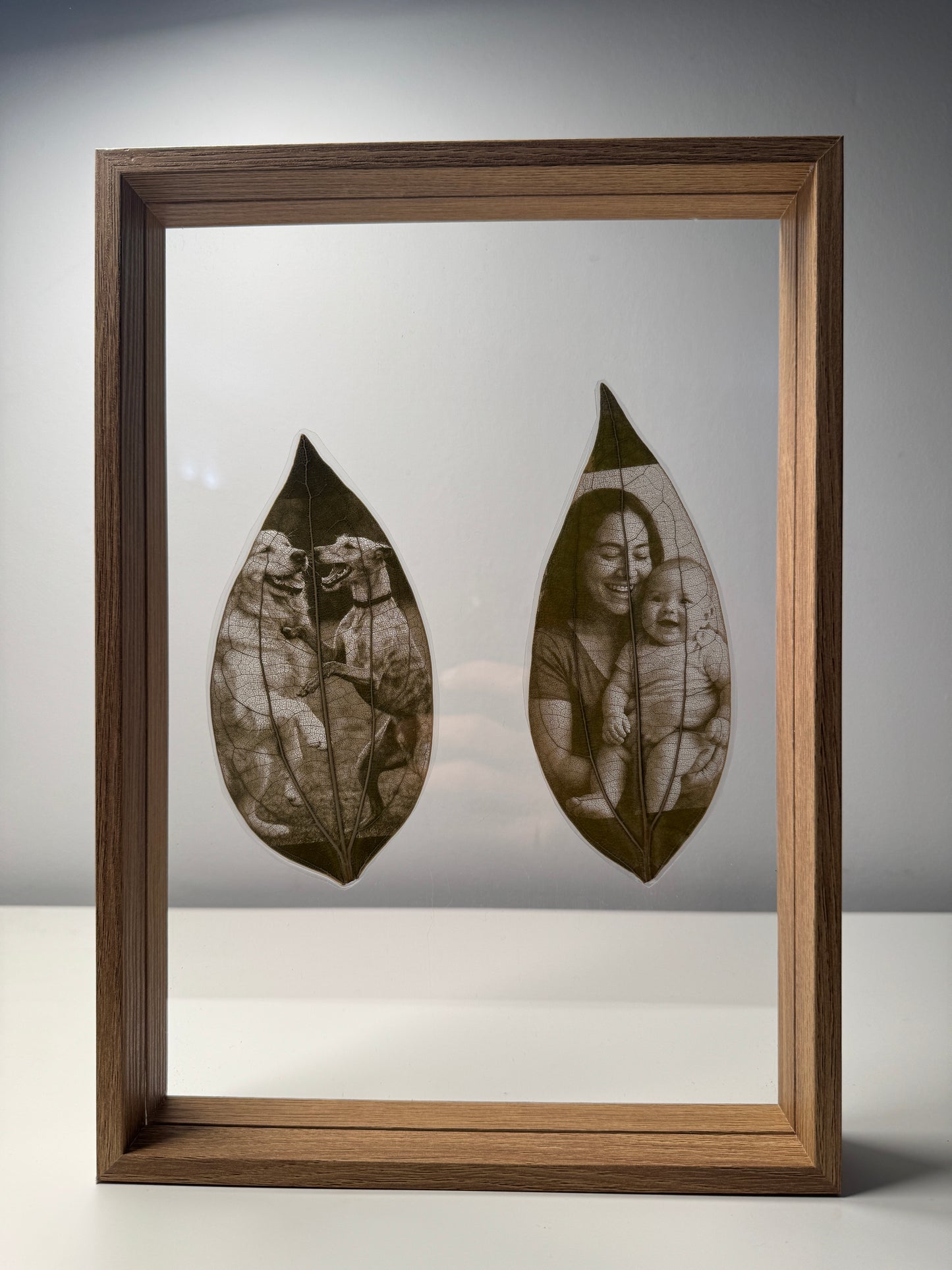 Framed Laser Engraved Leaves
