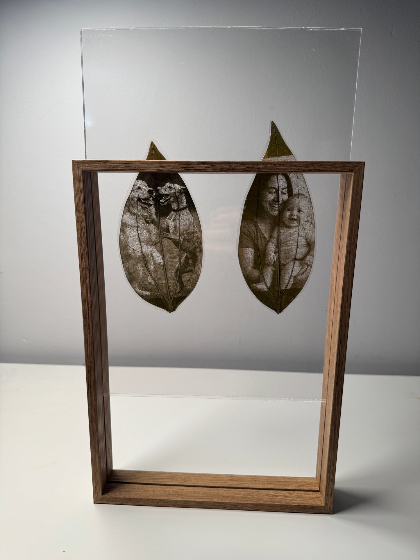 Framed Laser Engraved Leaves