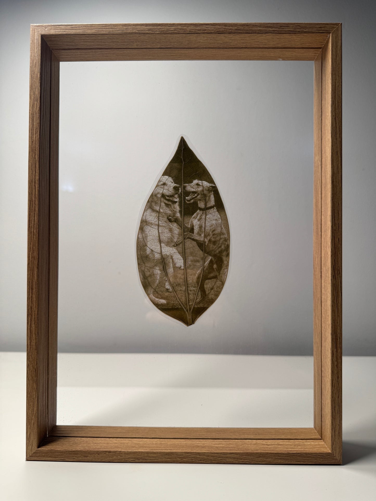 Framed Laser Engraved Leaves