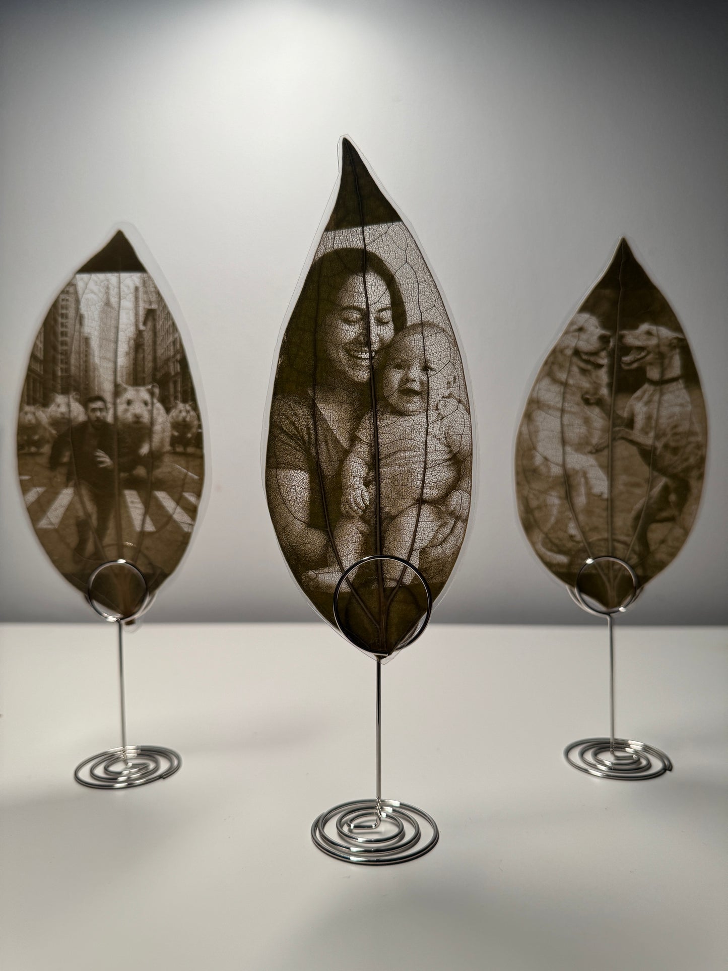 Personalised Laser-Engraved Leaf (Laminated) + Stand