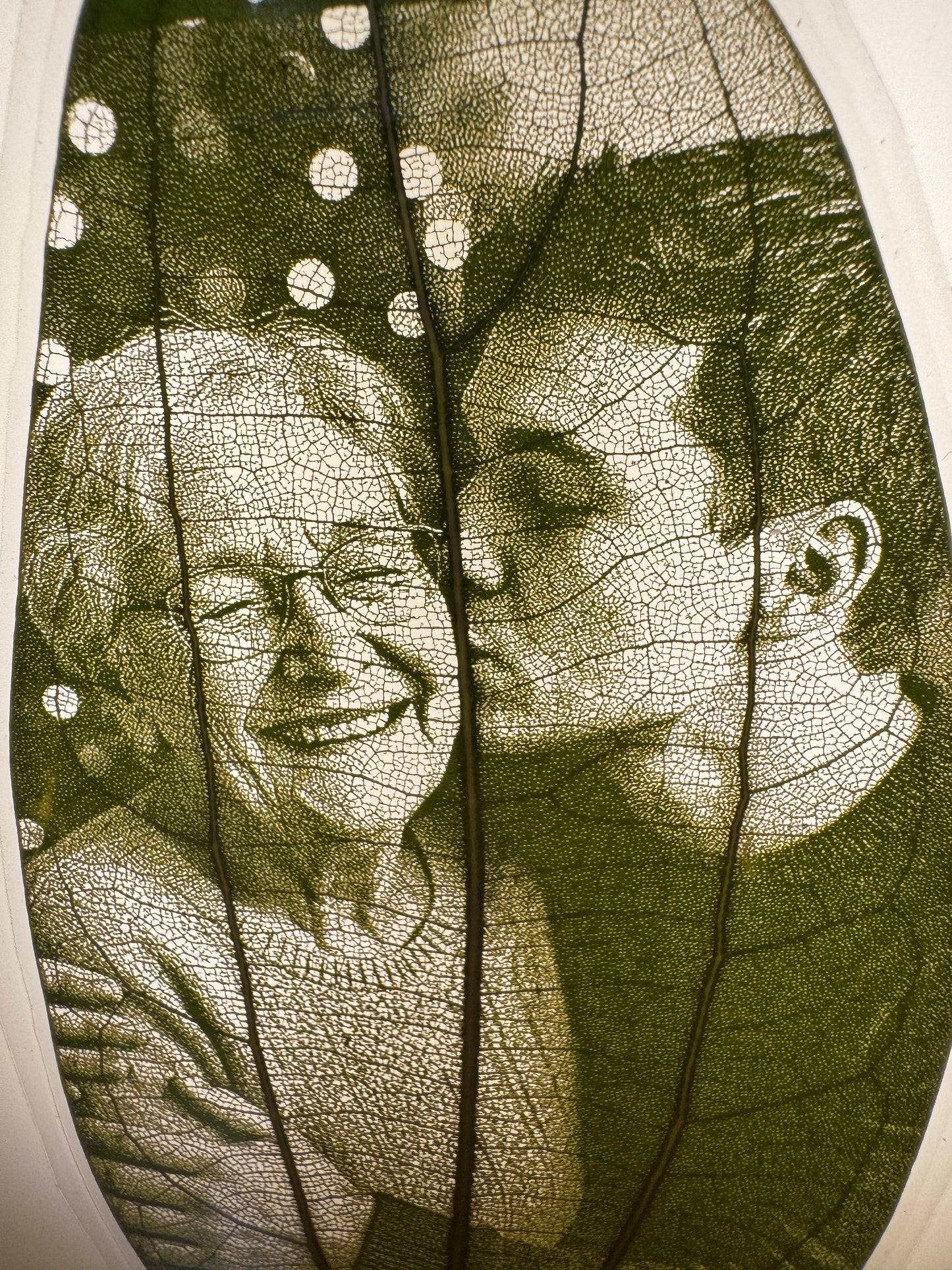 8-Inch Light-Up Display Frame & 1 Laser Engraved & Laminated Leaf