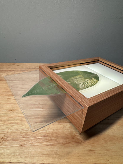 8-Inch Light-Up Display Frame & 1 Laser Engraved & Laminated Leaf