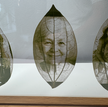 Framed Laser Engraved Leaves